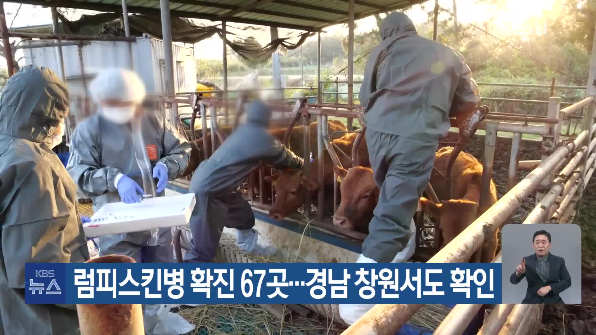 럼피스킨병 확진 67곳…경남 창원서도 확인