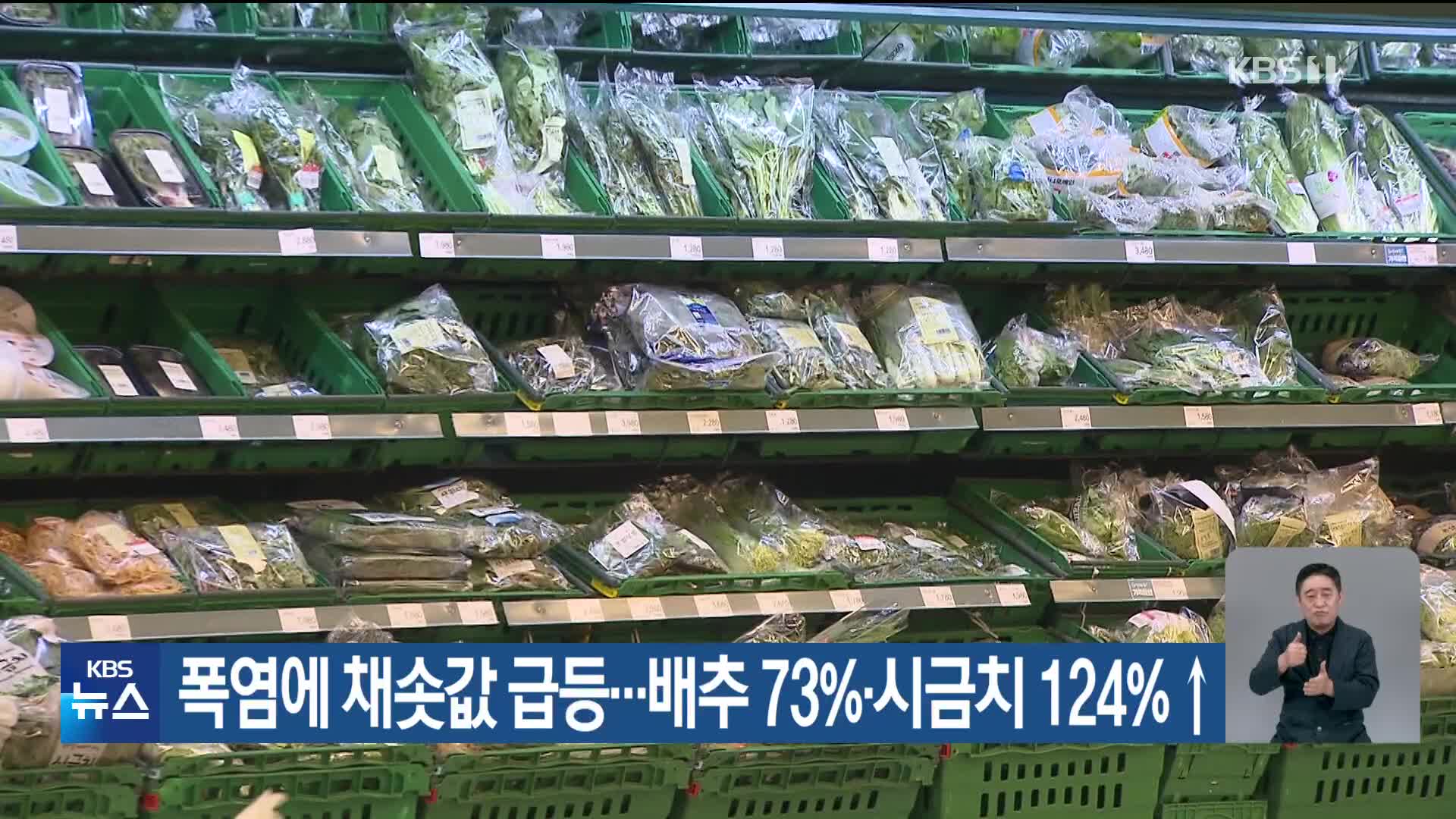 폭염에 채솟값 급등…배추 73%·시금치 124%↑