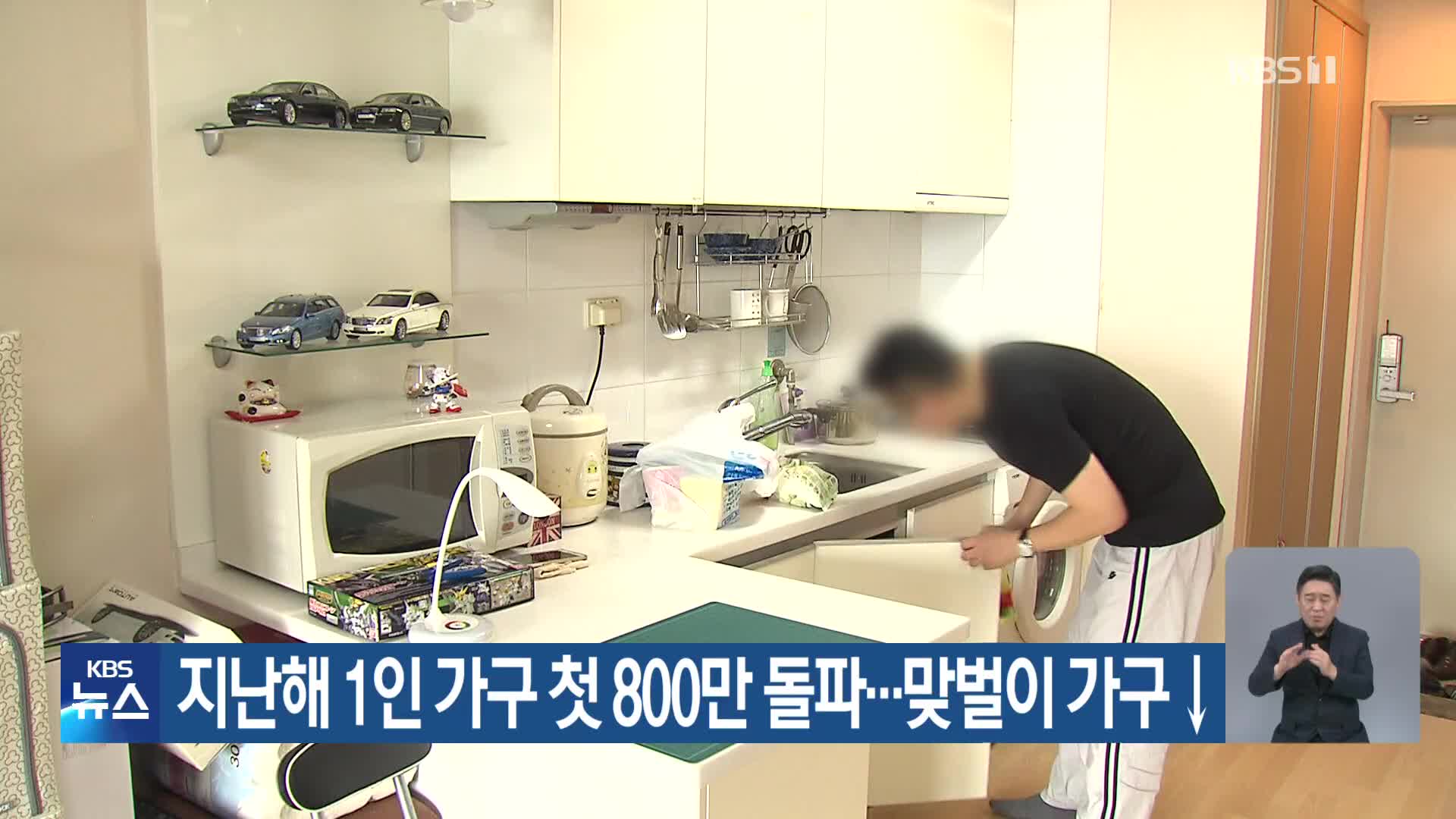 지난해 1인 가구 첫 800만 돌파…맞벌이 가구↓