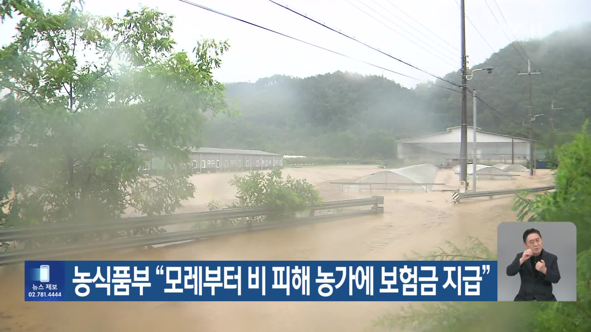 농식품부 “모레부터 비 피해 농가에 보험금 지급”