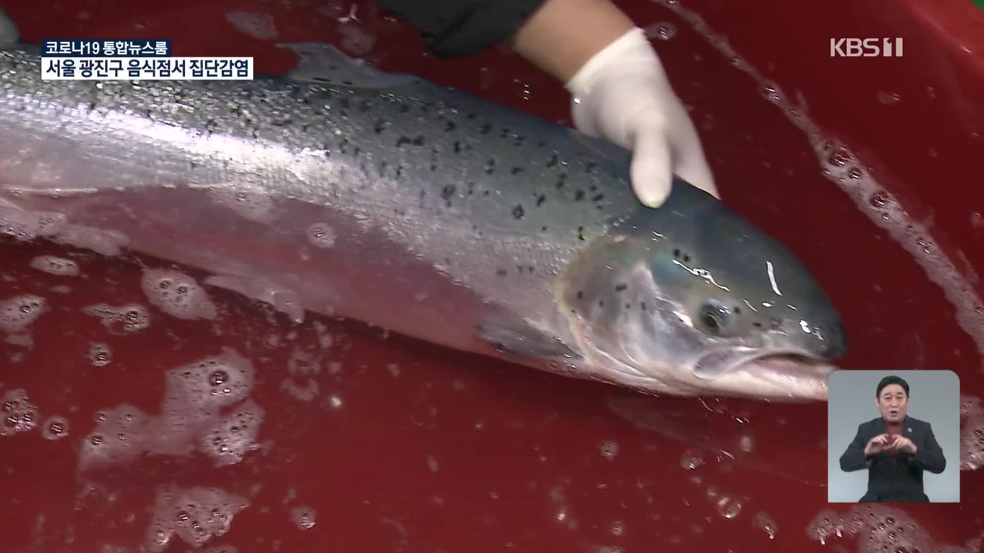 ‘대서양 연어’ 양식 추진…대형 어종 어획량 늘어