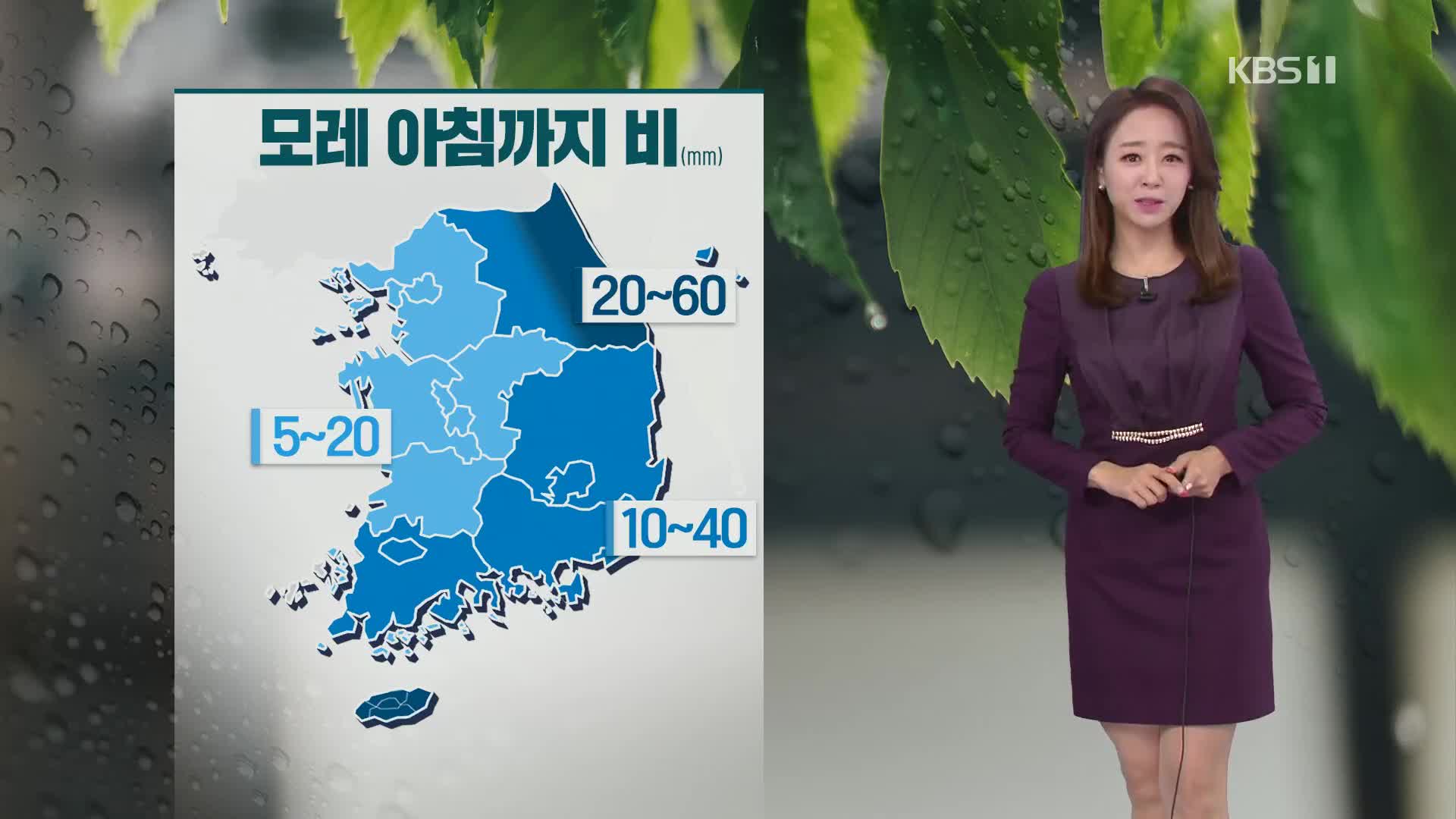 [퇴근길 날씨] 주말, 비 내리며 쌀쌀해요