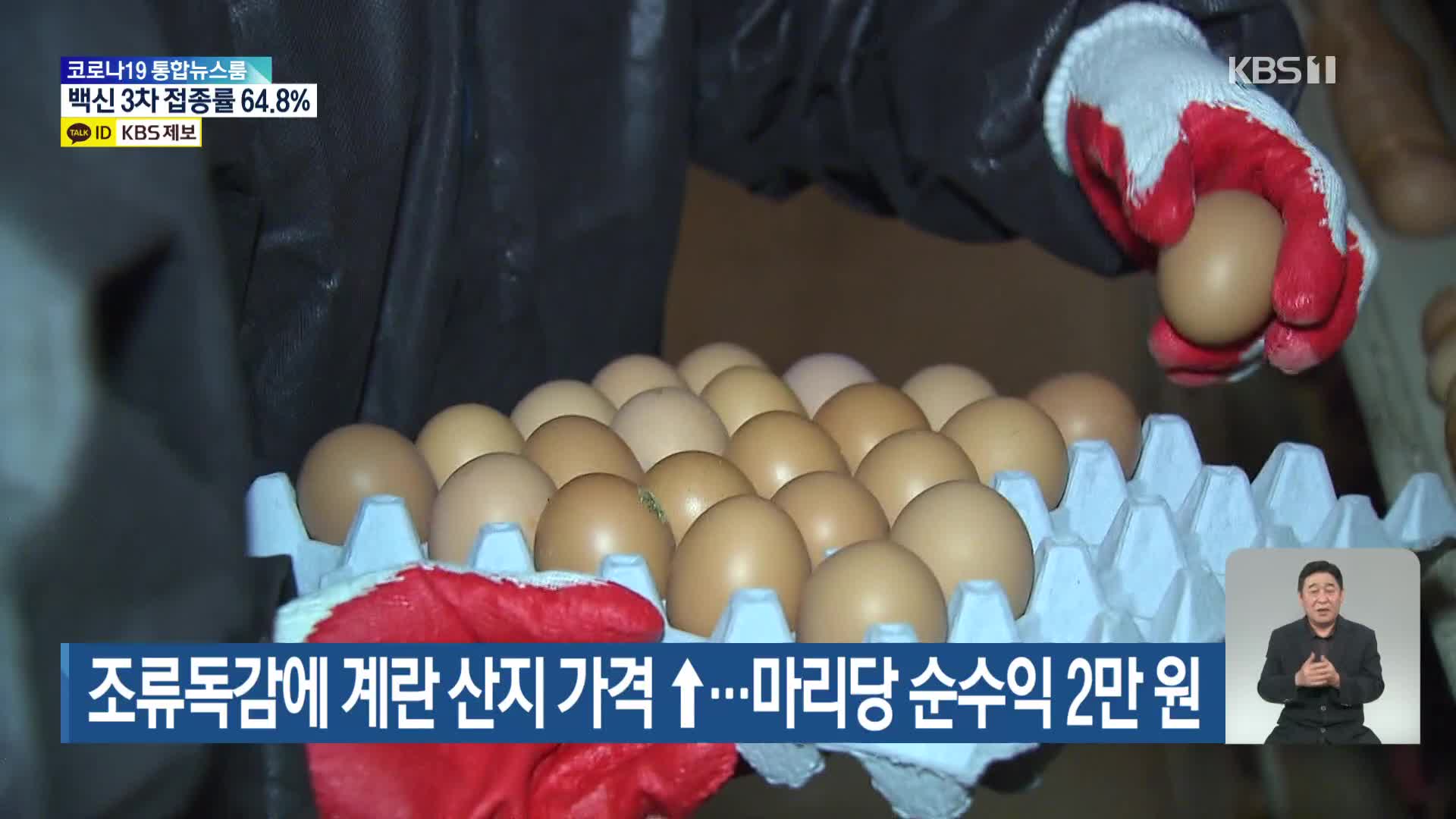 조류독감에 계란 산지 가격↑…마리당 순수익 2만 원