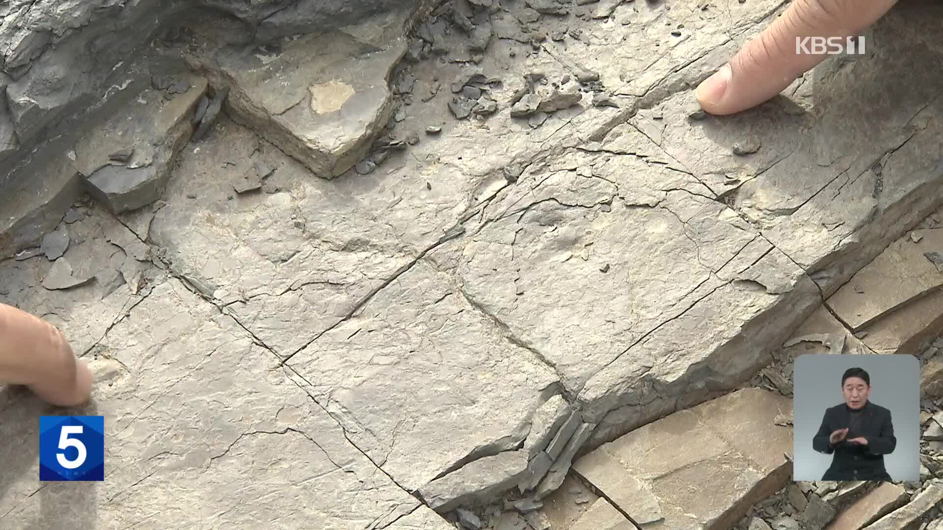 백악기 개구리 발자국 100여 개 화석…문화재청 “이전 보존”