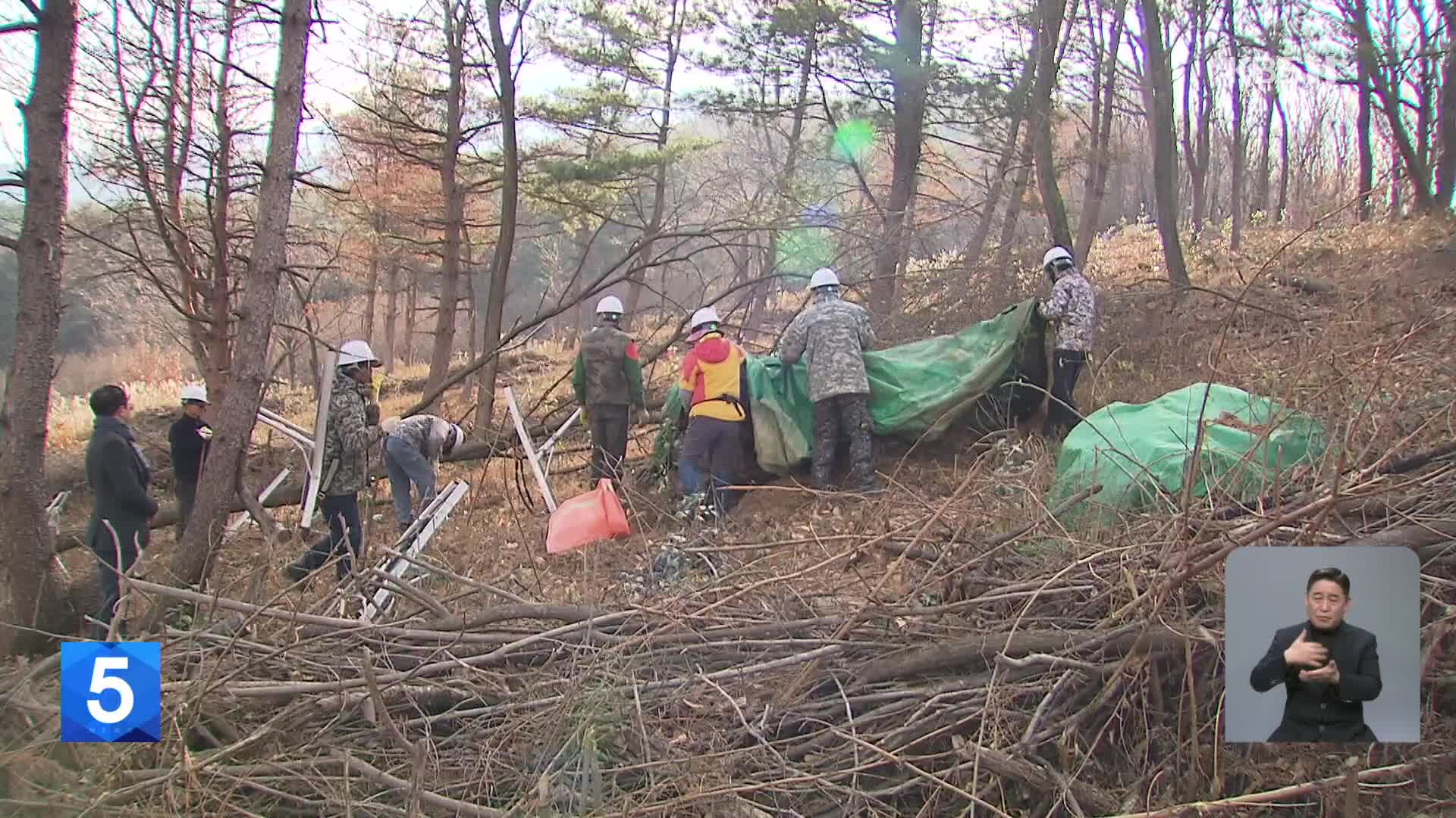 소나무재선충병 증가세…‘항공 방제’ 대신 ‘정밀 타격’