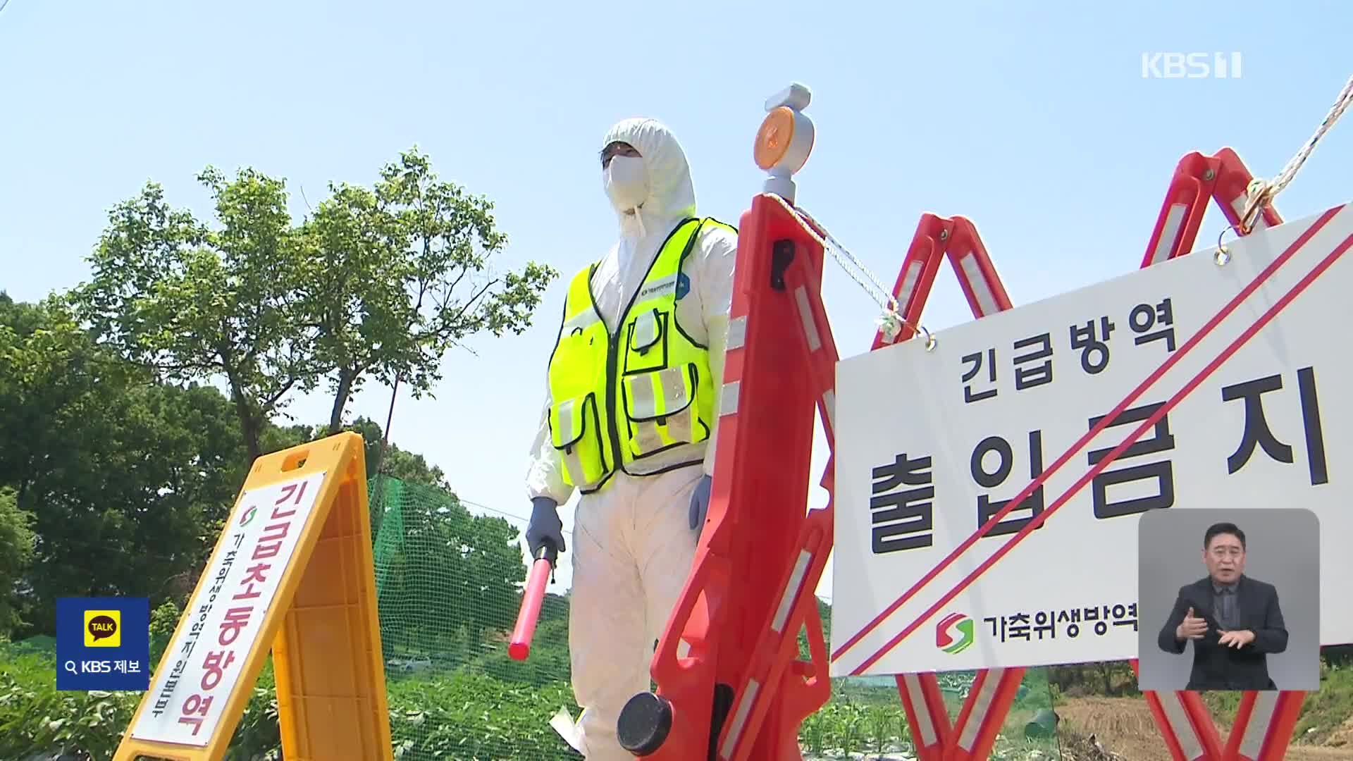 청주서 구제역 확진 잇따라…‘주의’ 단계로 상향