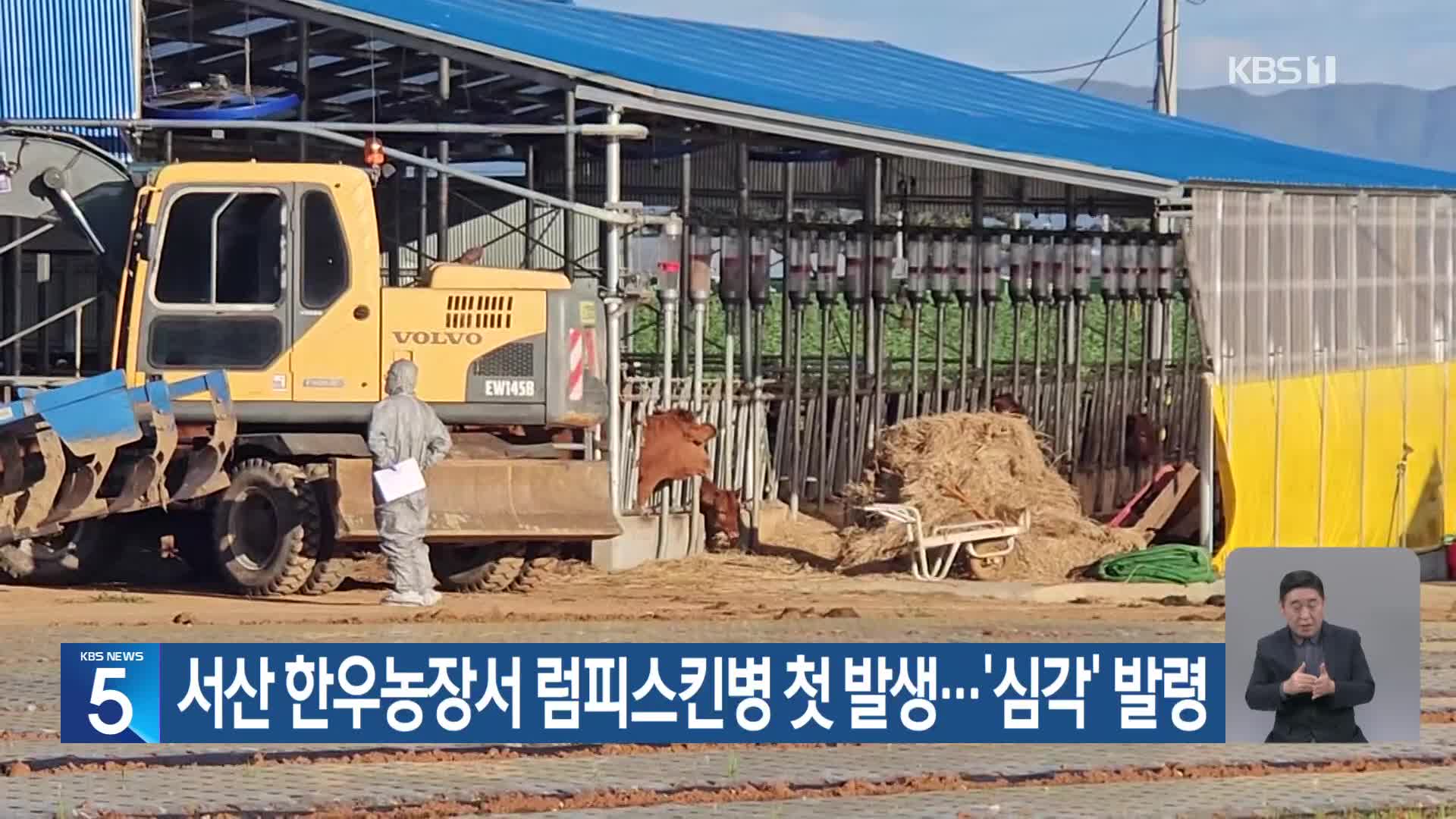 서산 한우농장서 럼피스킨병 첫 발생…‘심각’ 발령