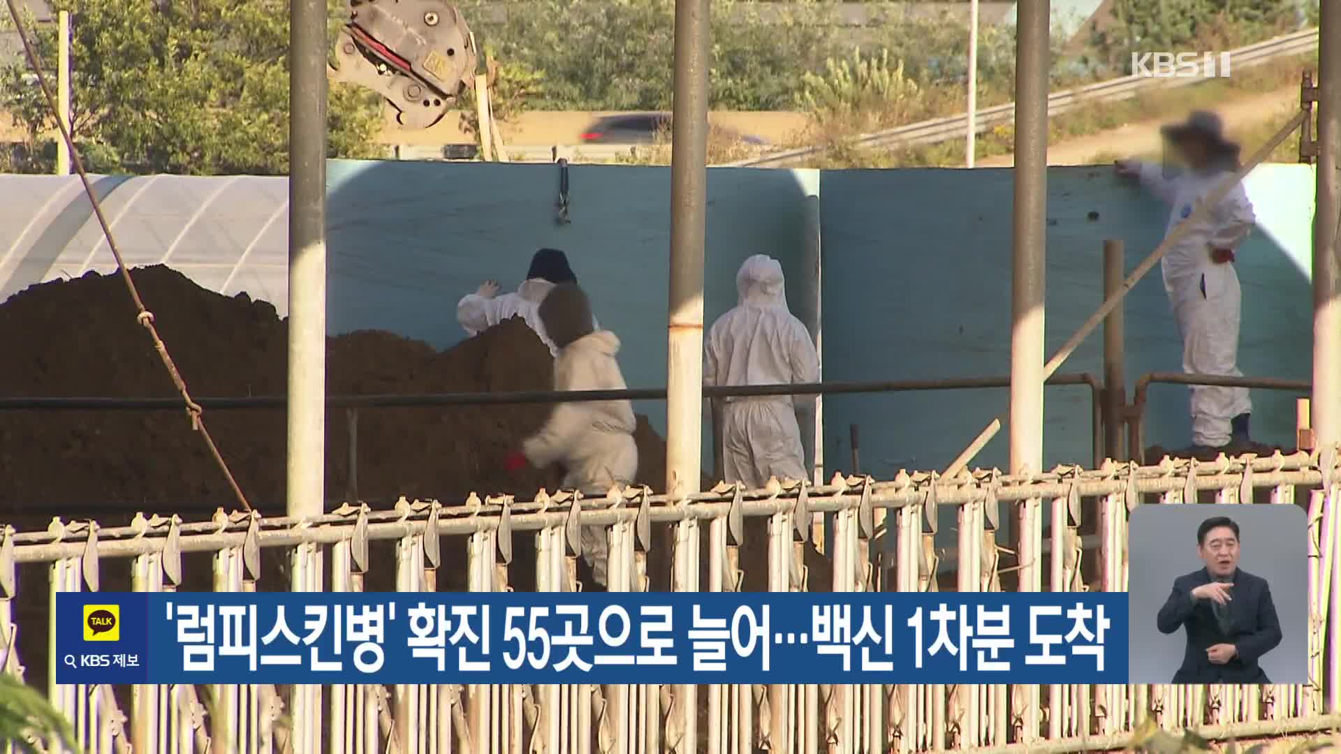 ‘럼피스킨병’ 확진 55곳으로 늘어…백신 1차분 도착