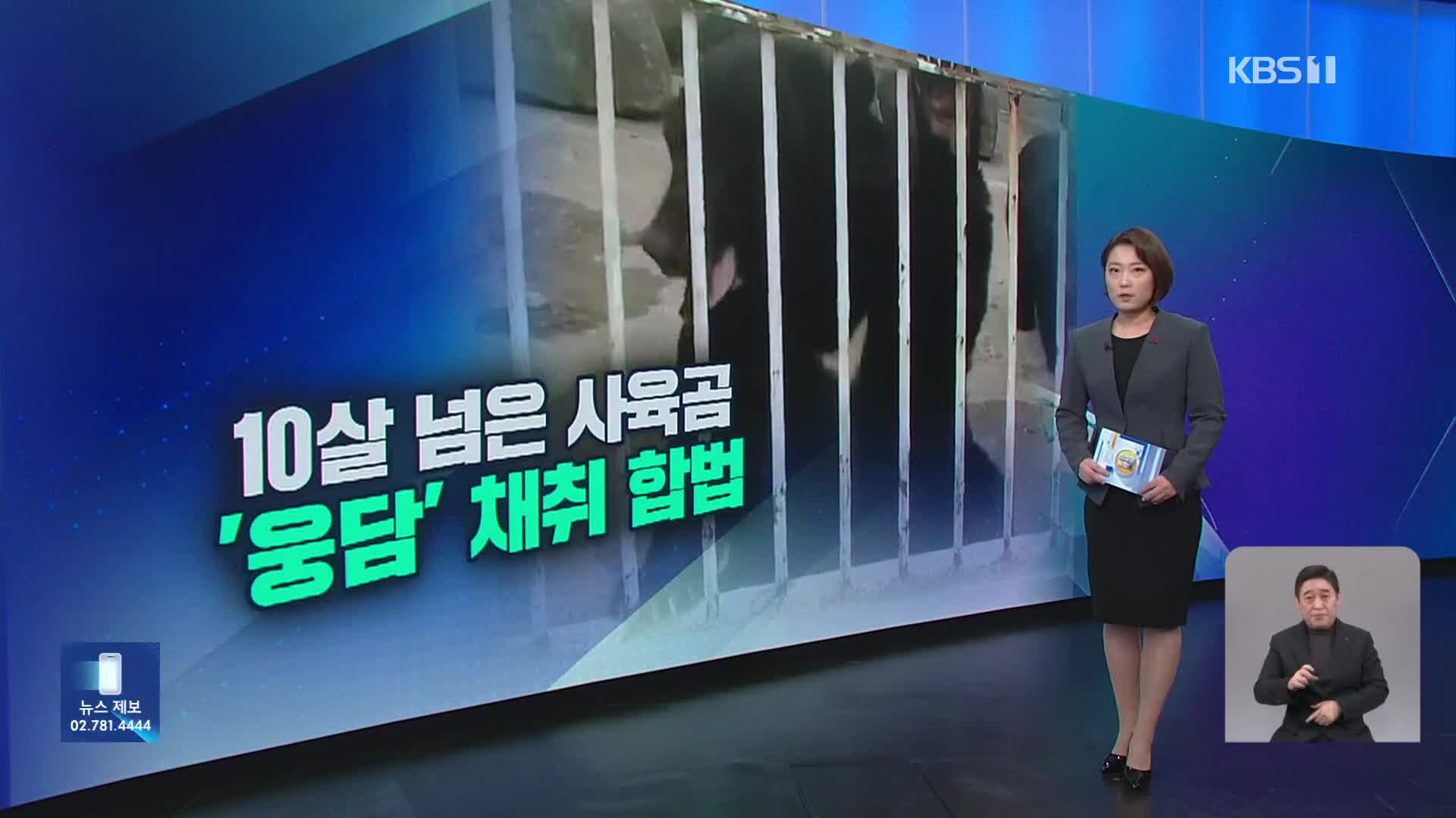 [친절한 뉴스K] ‘웅담’ 위해 철창에서 평생…비극 끝날까