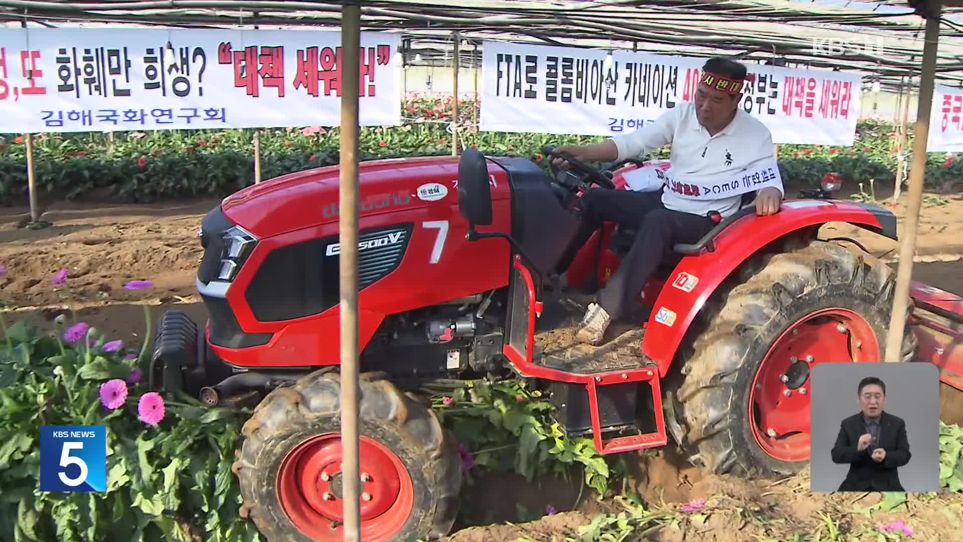 “화훼농가 줄도산”…꽃밭 갈아 엎어