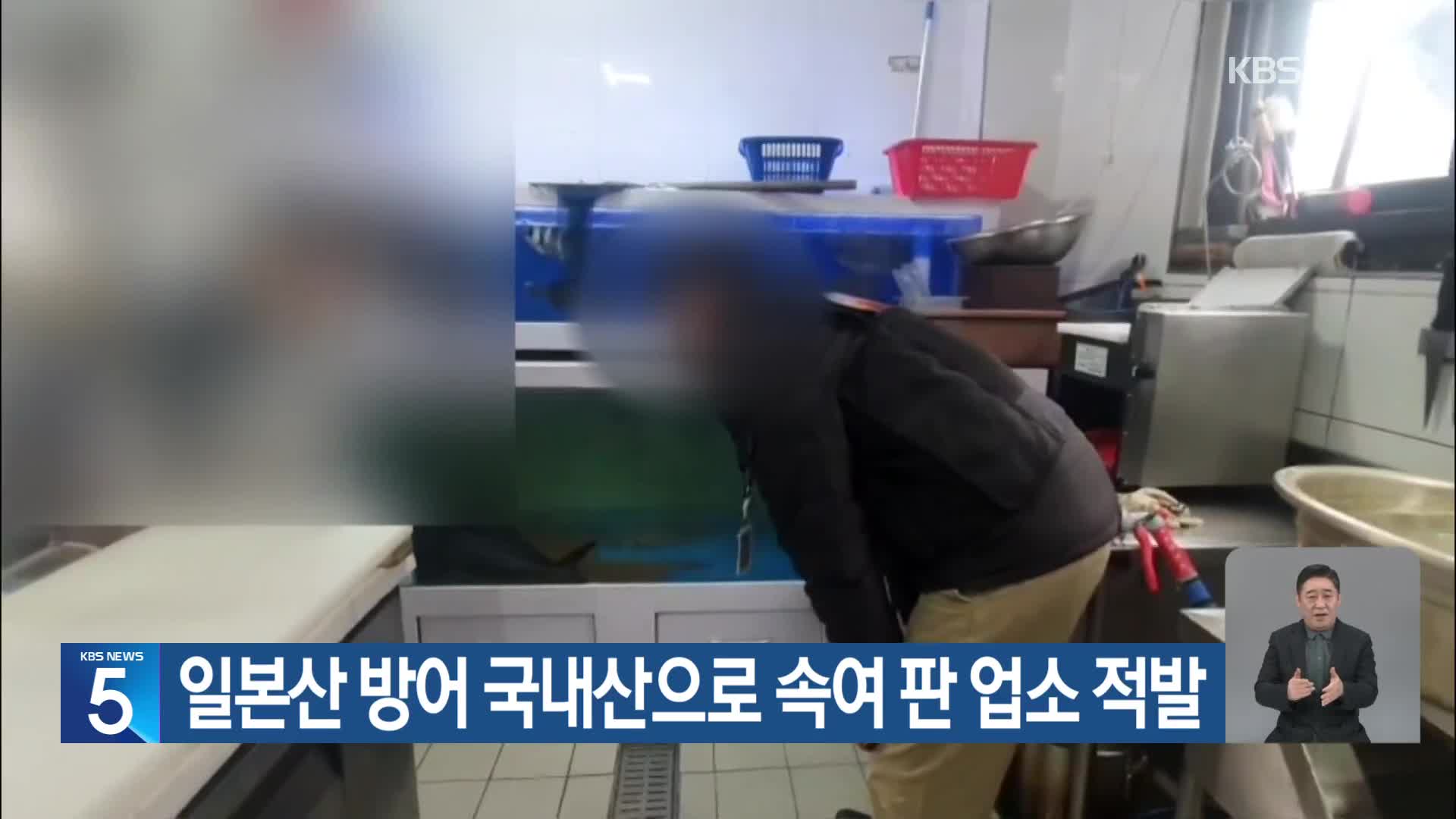 일본산 방어 국내산으로 속여 판 업소 적발