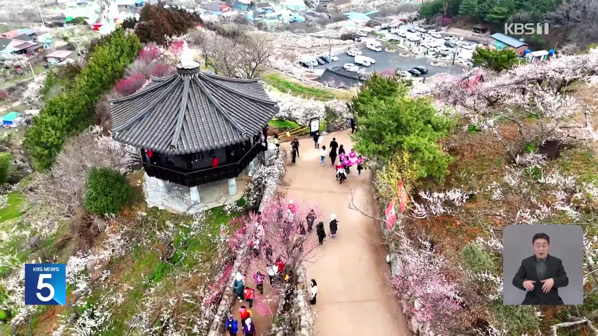 남녘은 벌써 꽃 잔치…광양 매화축제 개막