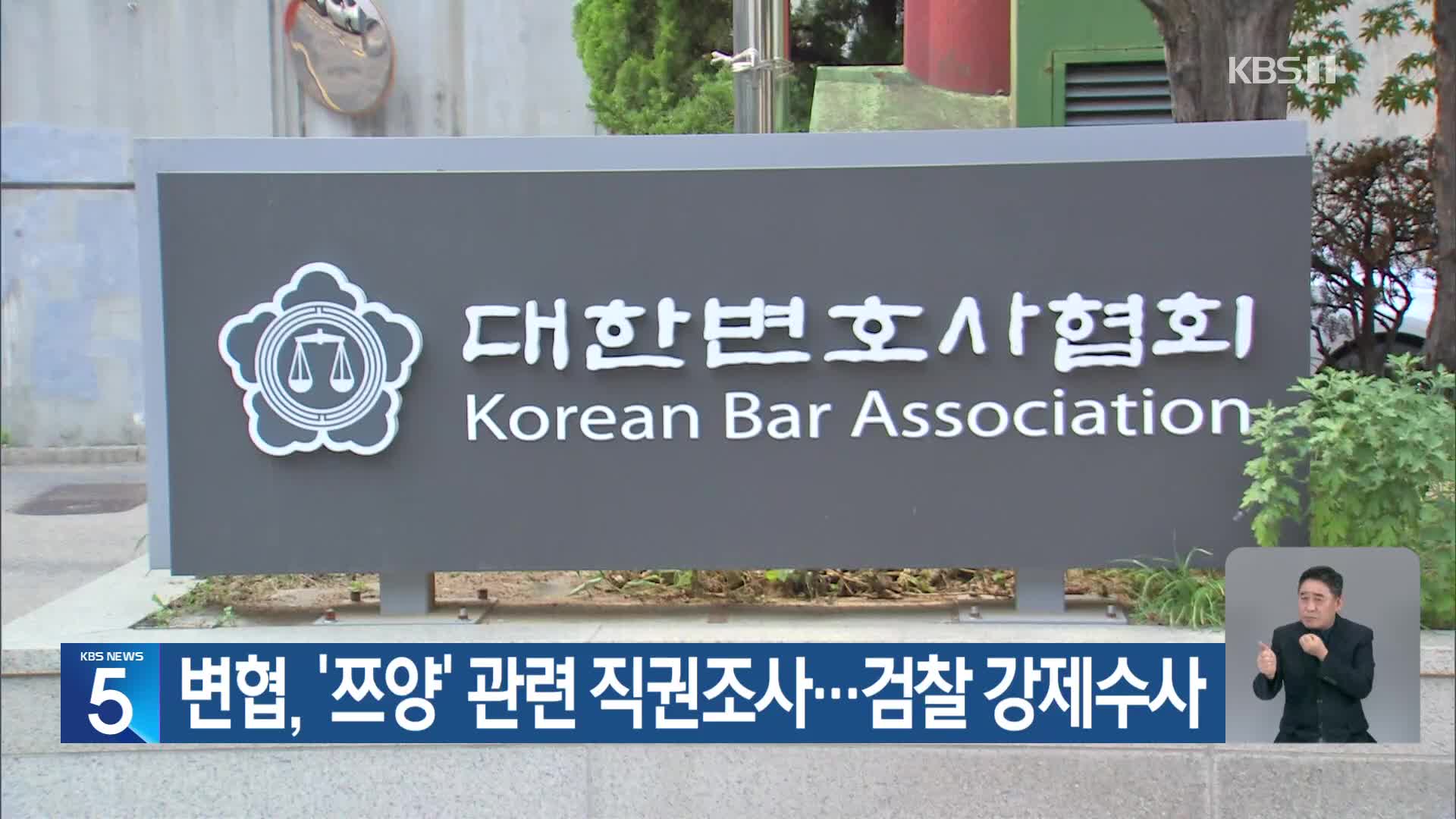 변협, ‘쯔양’ 관련 직권조사…검찰 강제수사
