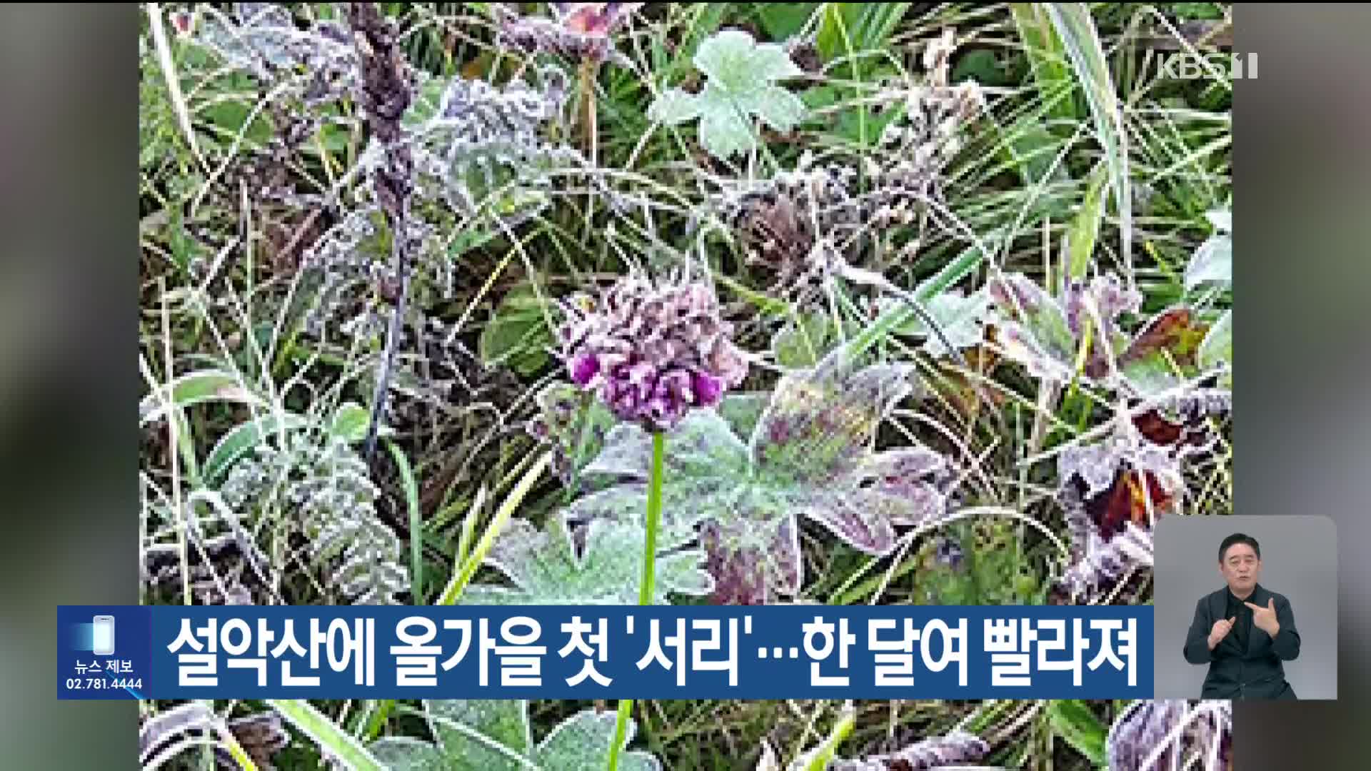 설악산에 올가을 첫 ‘서리’…한 달여 빨라져