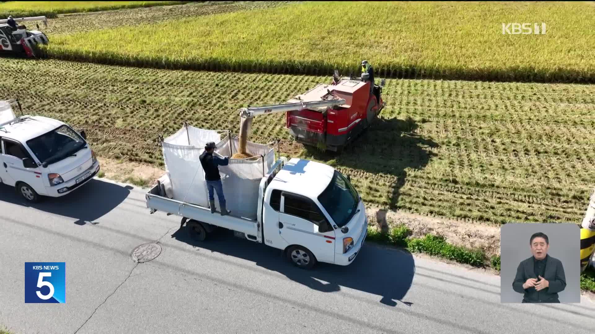 가을걷이 본격 시작…쌀값 하락에 ‘애타는 농심’