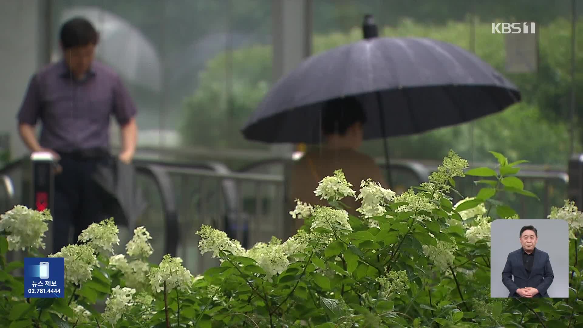 중부 장마 시작…모레까지 최대 150mm 예보