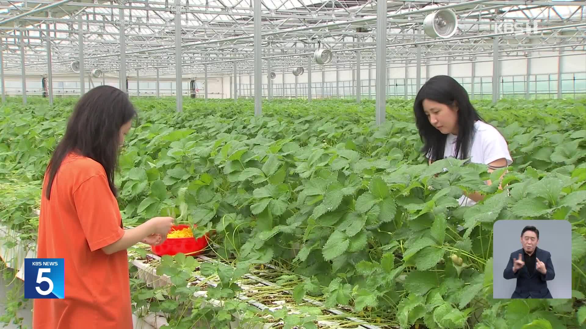 ‘억대 소득’ 청년 농부 시대…관건은 ‘정주 여건’