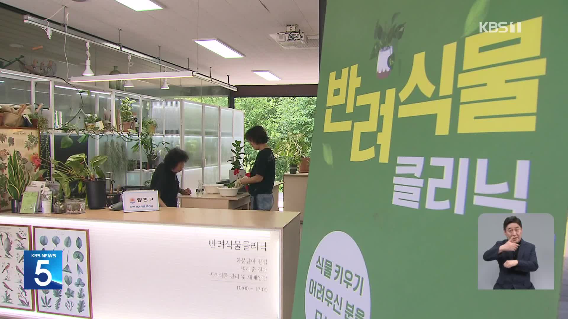 “아픈 식물 치료합니다!”…반려식물로 우울감 해소