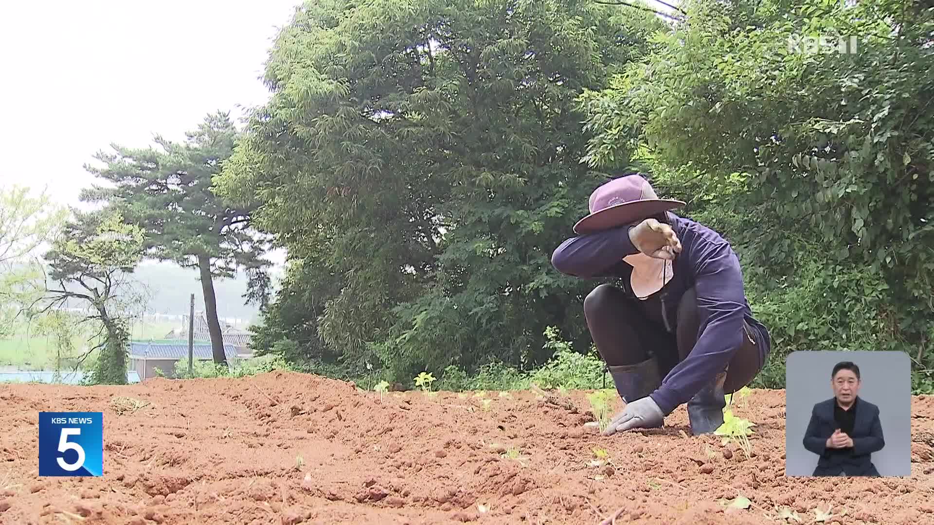 “폭염에도 못 쉬어요”…농촌 온열질환자 속출