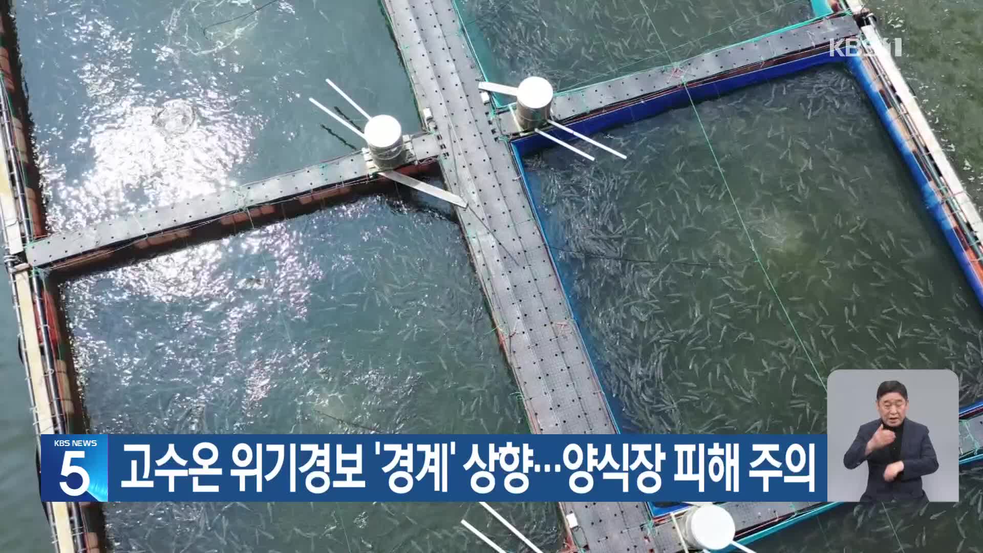 고수온 위기경보 ‘경계’ 상향…양식장 피해 주의