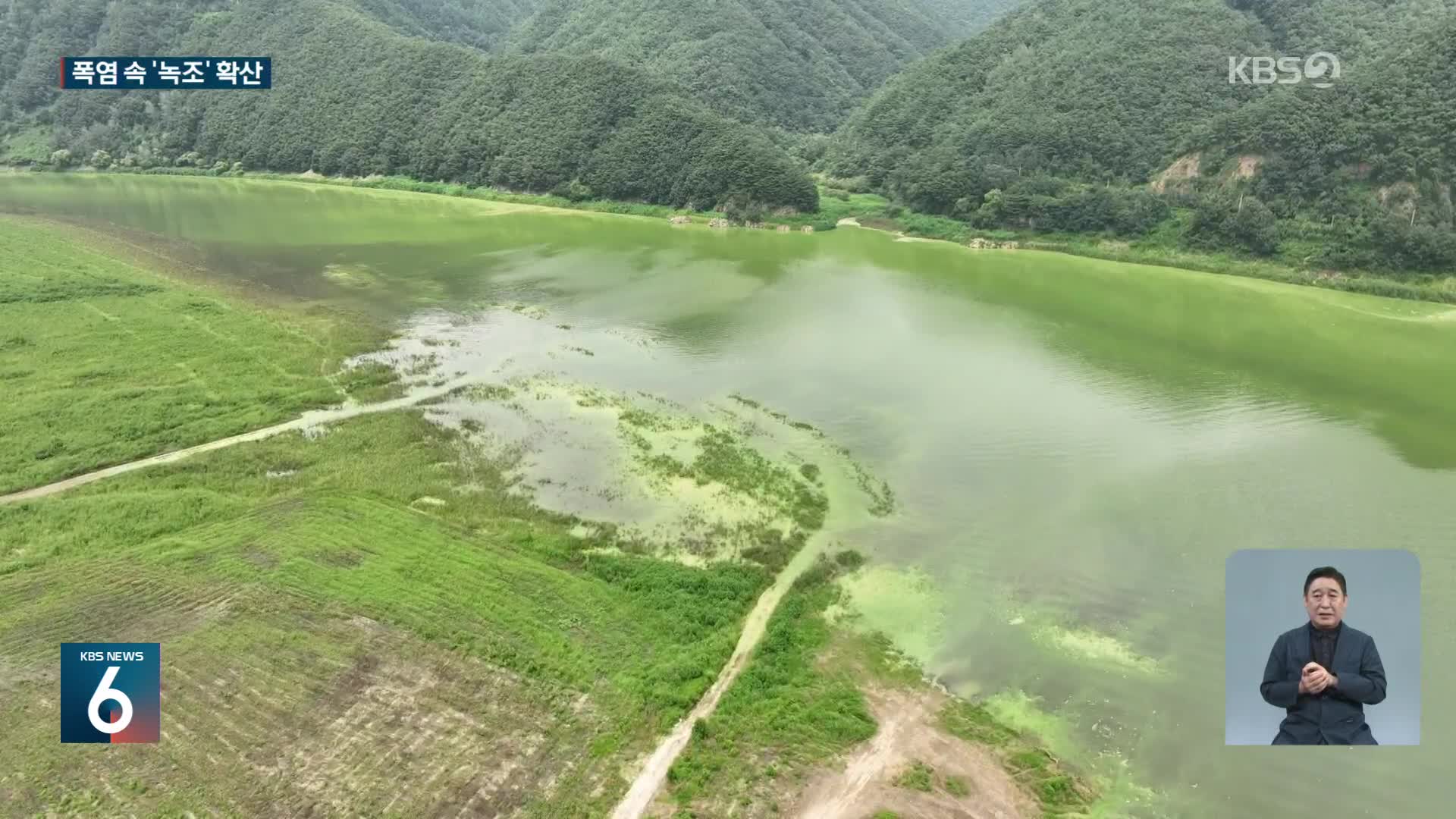 소양호 상류 덮은 녹조…‘폭염’ 속 수온 32도까지 올라