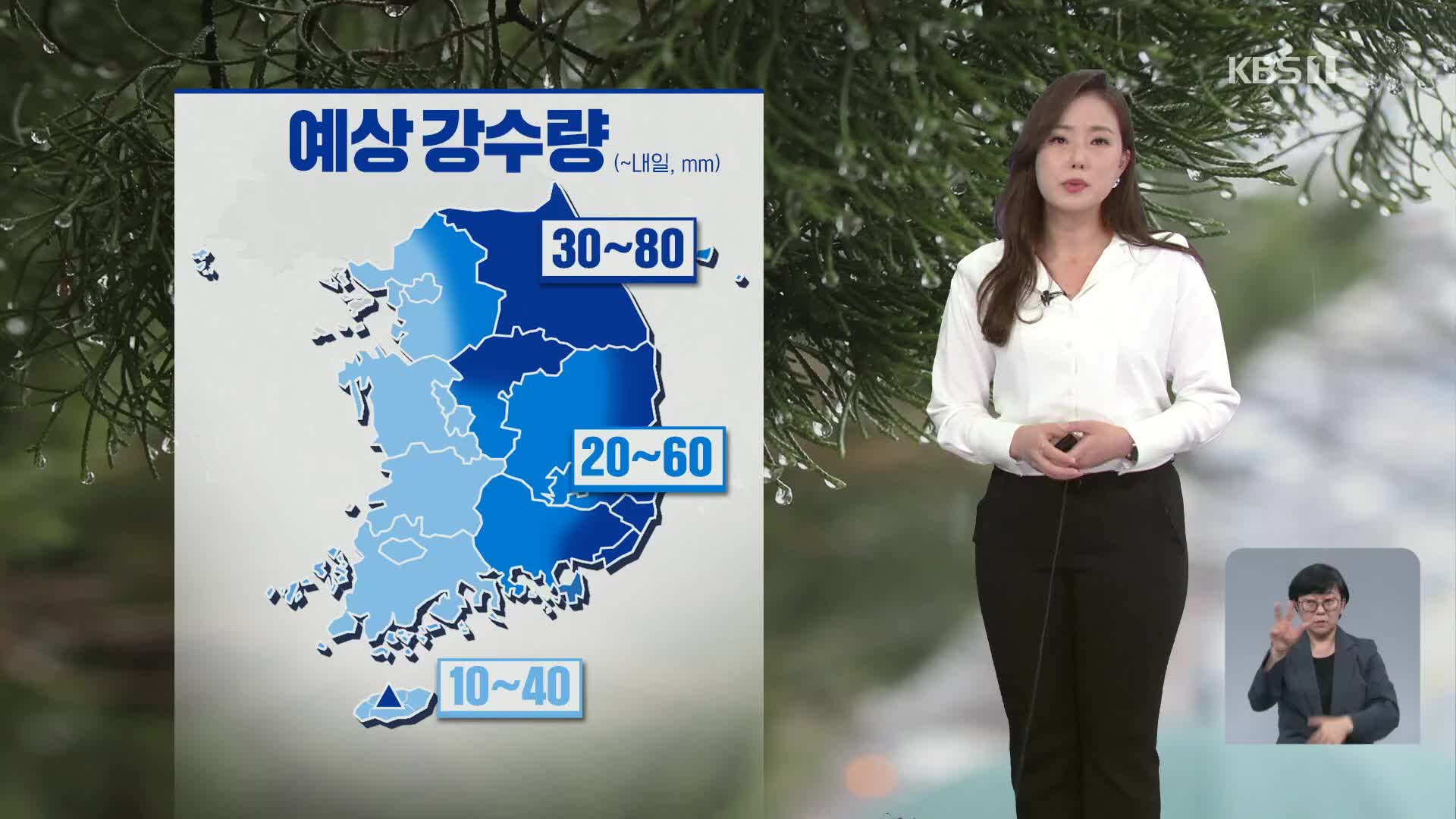 [9시 날씨] 내일까지 전국 비·눈·바람…출근길 조심하세요!