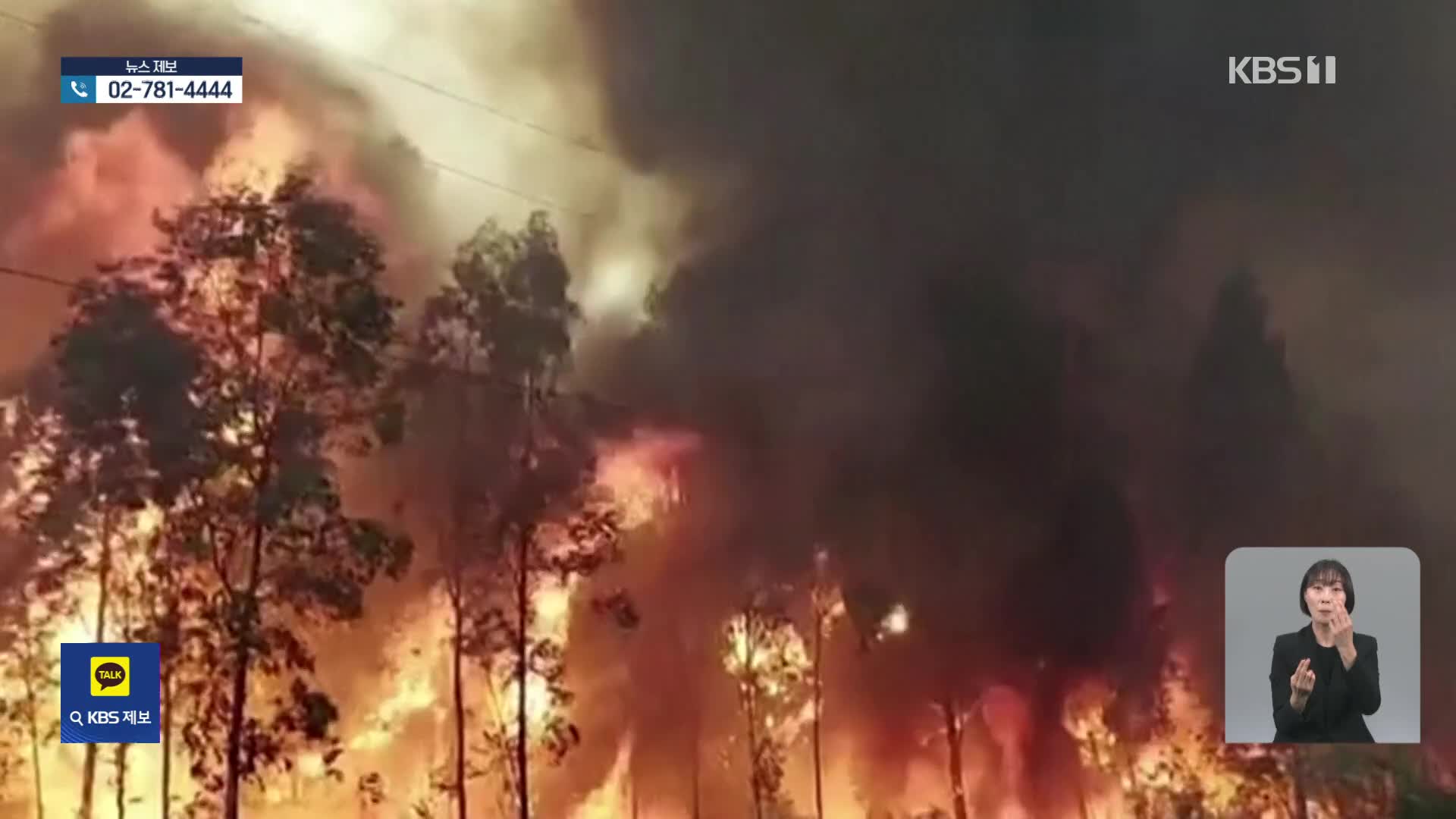 “기후변화로 산불 증가”…꼬리 문 악순환