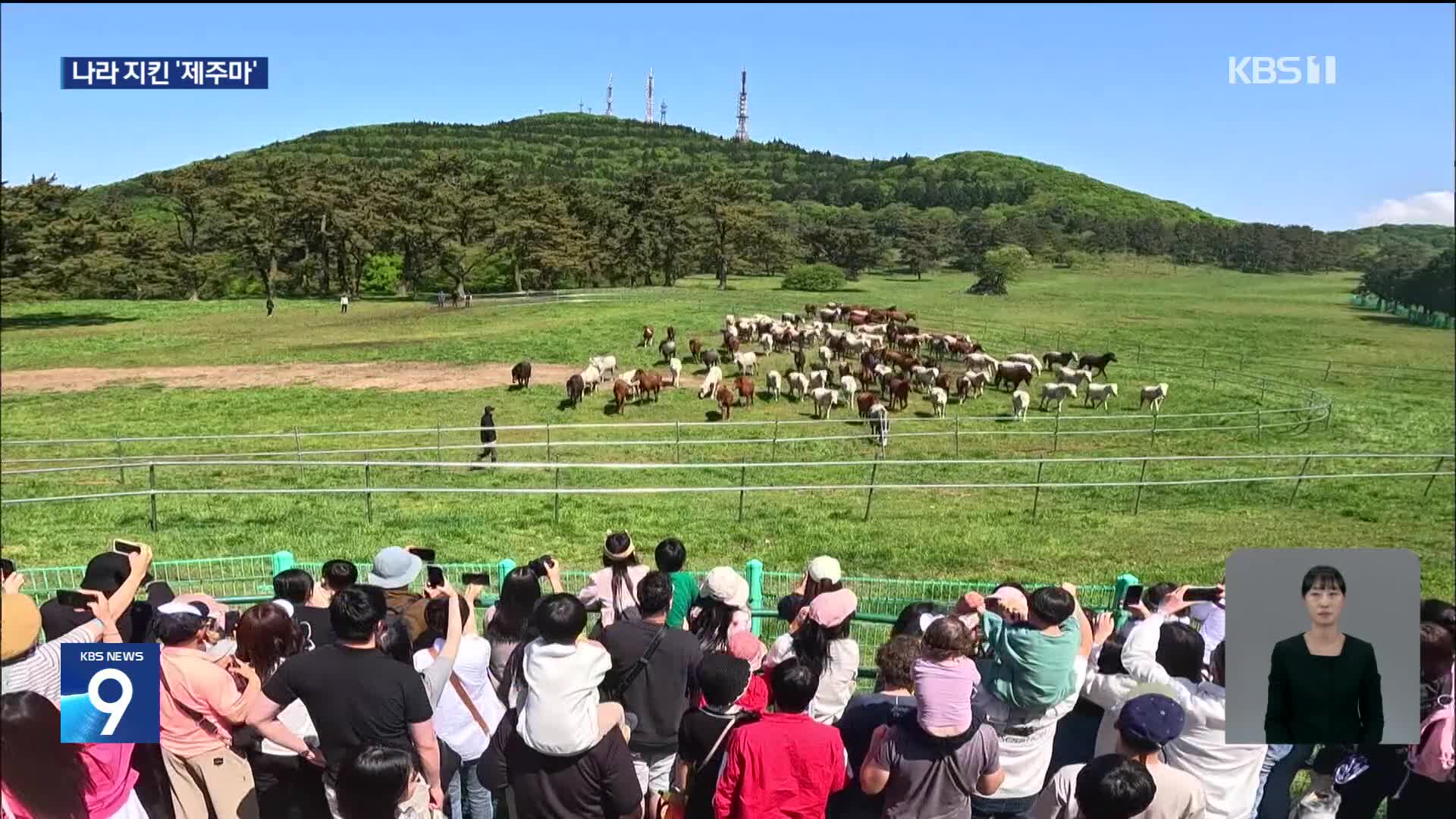 호국영웅 제주마 70년 만의 귀향…말의 고장 제주 세계로