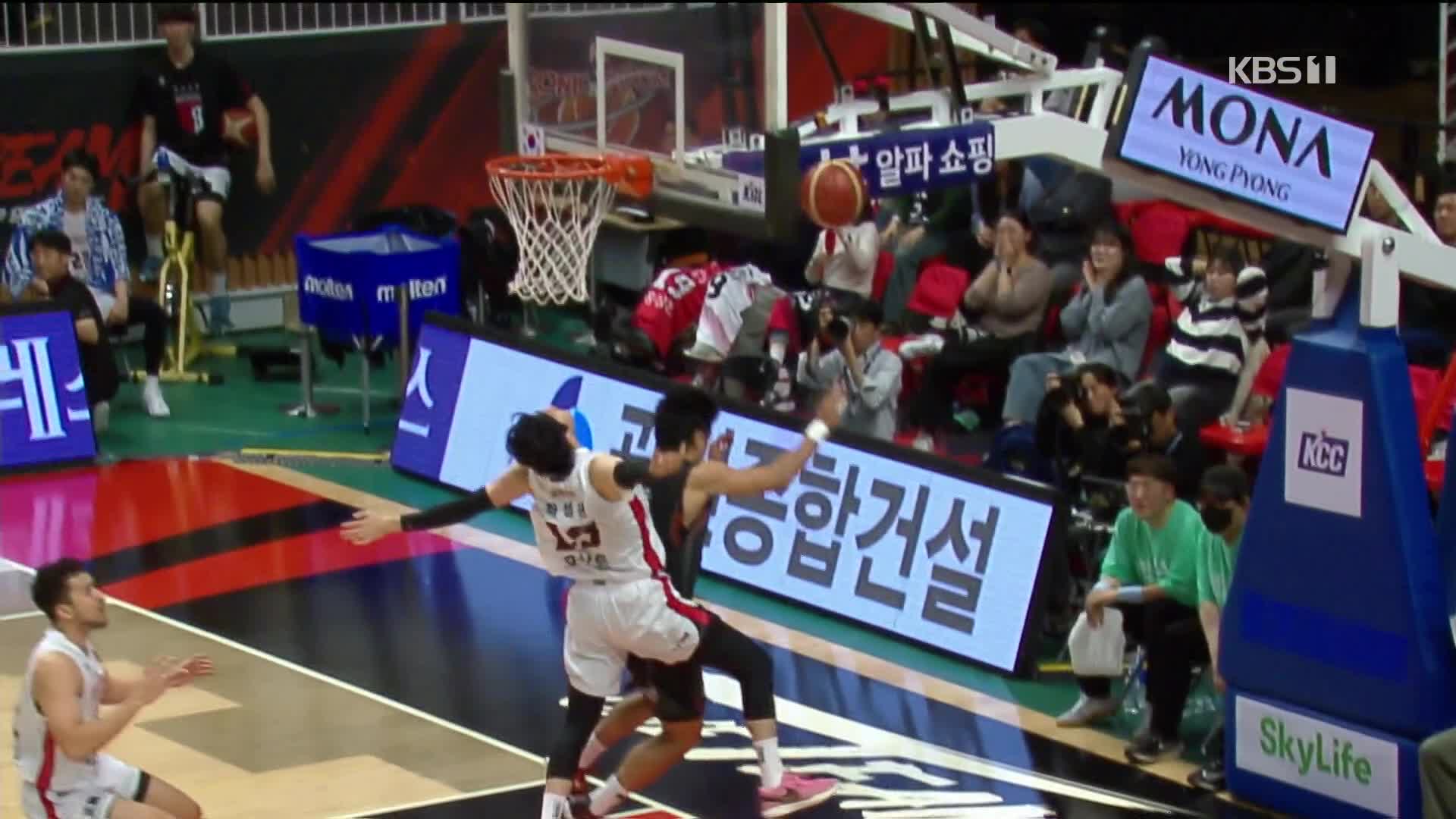 [오늘의 영상] 이게 불낙이야!
