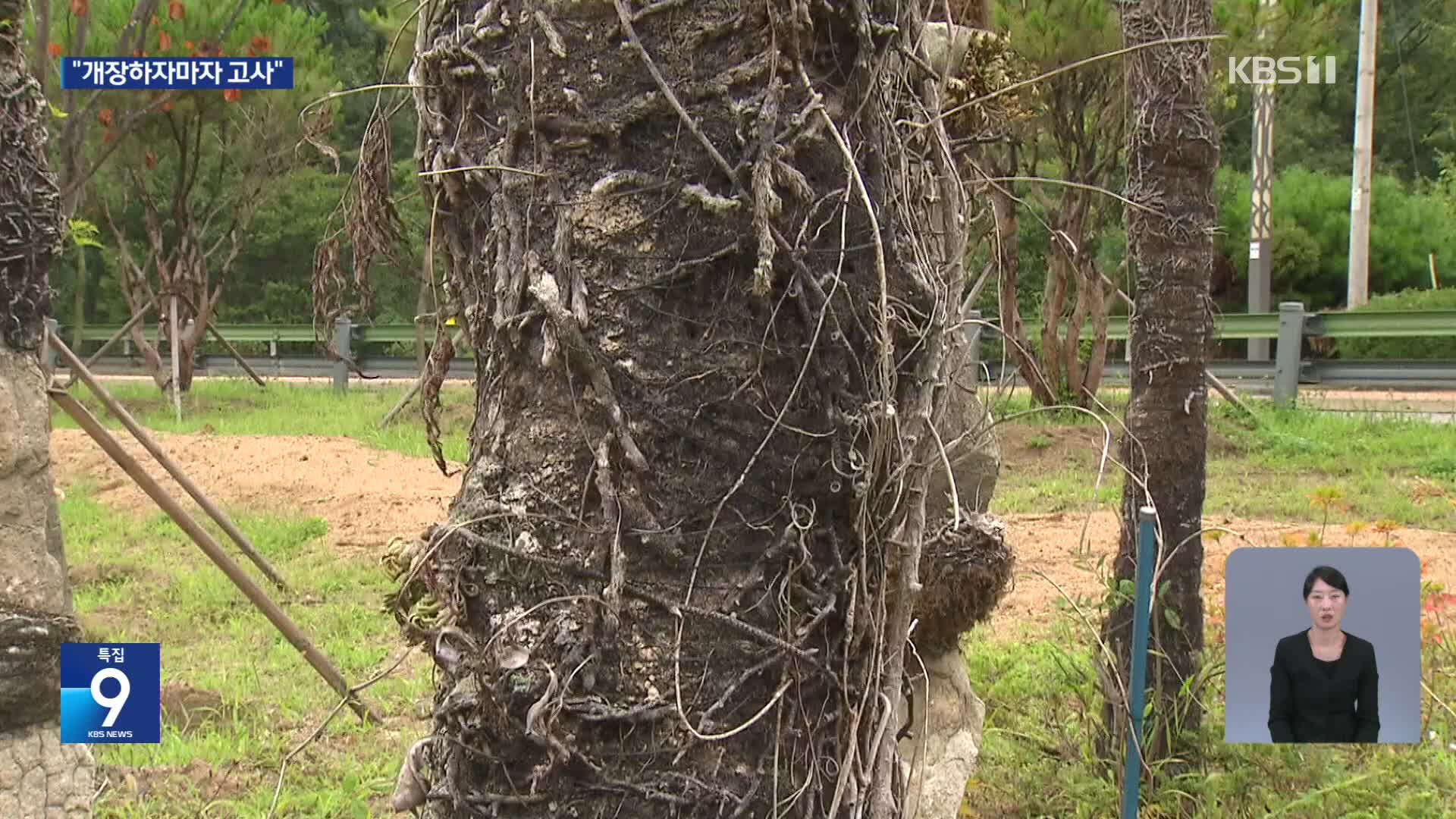 Pyeongchang ecopark criticized