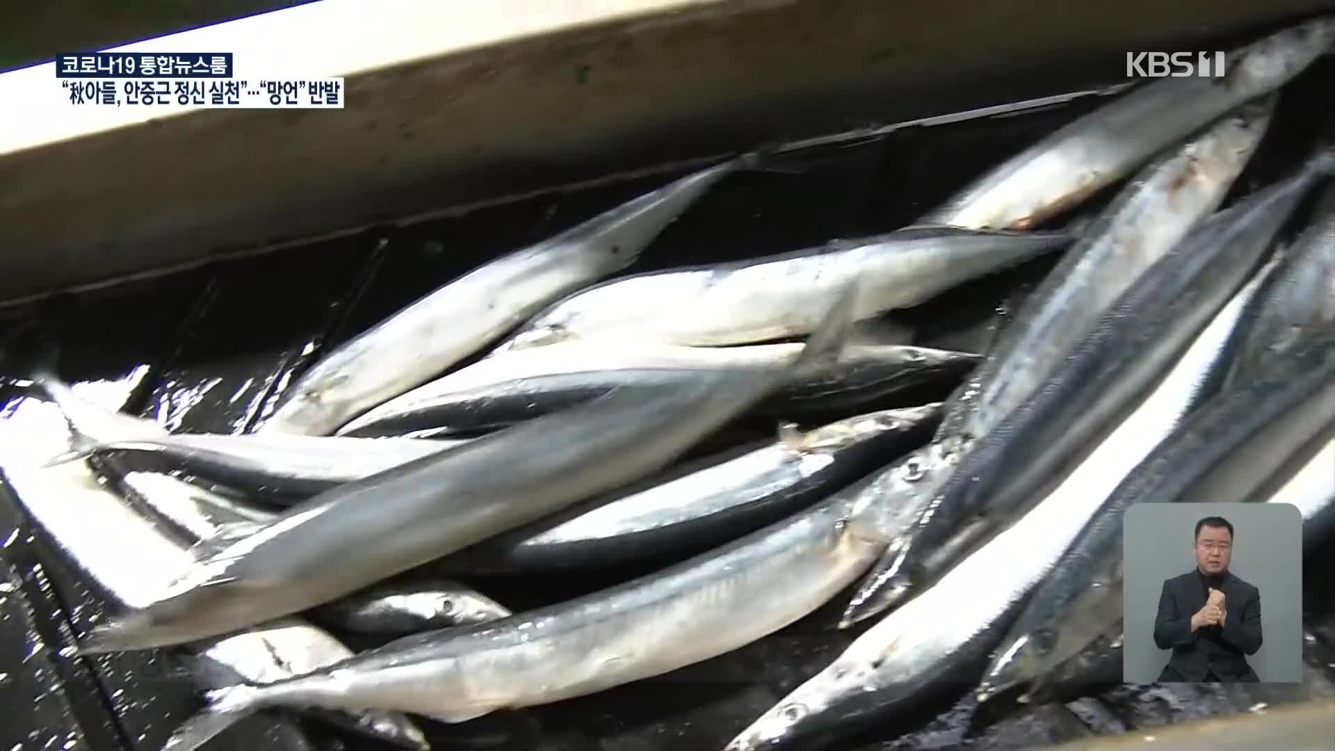 일본, 꽁치 어획량 급감…수온 상승으로 서식지 변화