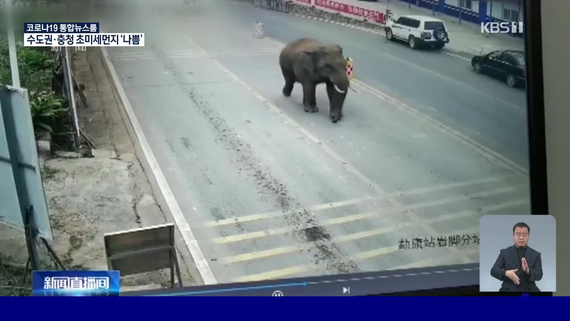 중국 최초 야생 코끼리 관측 탑 건설