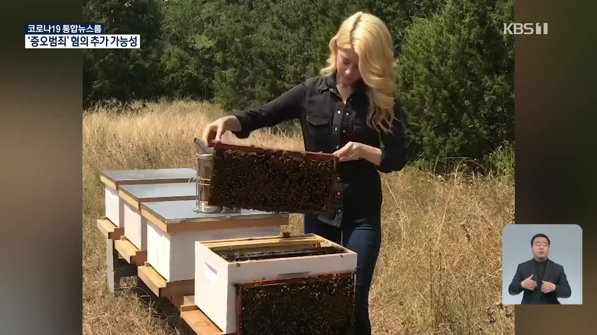 벌을 사랑하는 美 꿀벌 아줌마