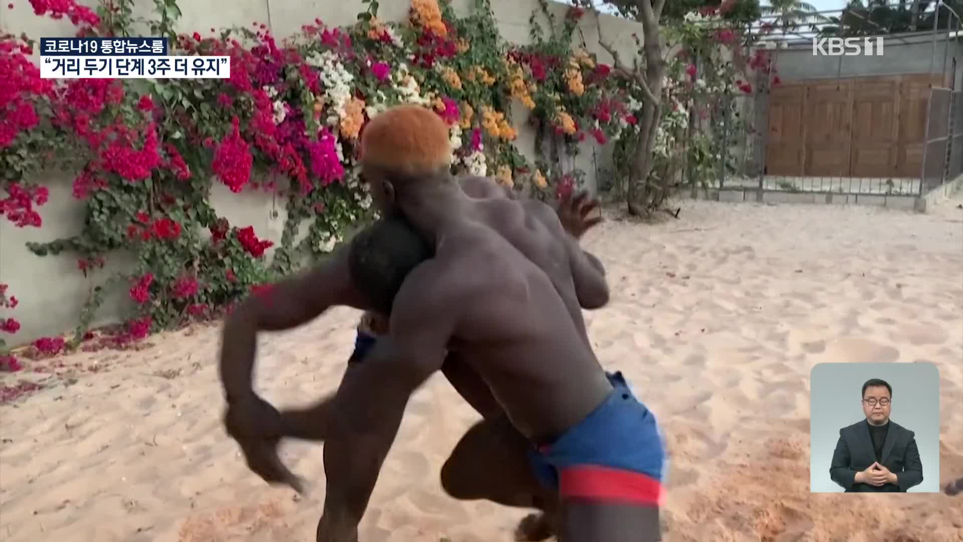세네갈 국민 스포츠 전통 레슬링 1년 만에 재개