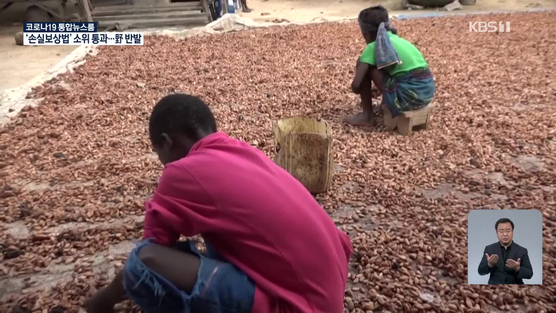 코트디부아르 카카오 농장 어린이 노동 심각