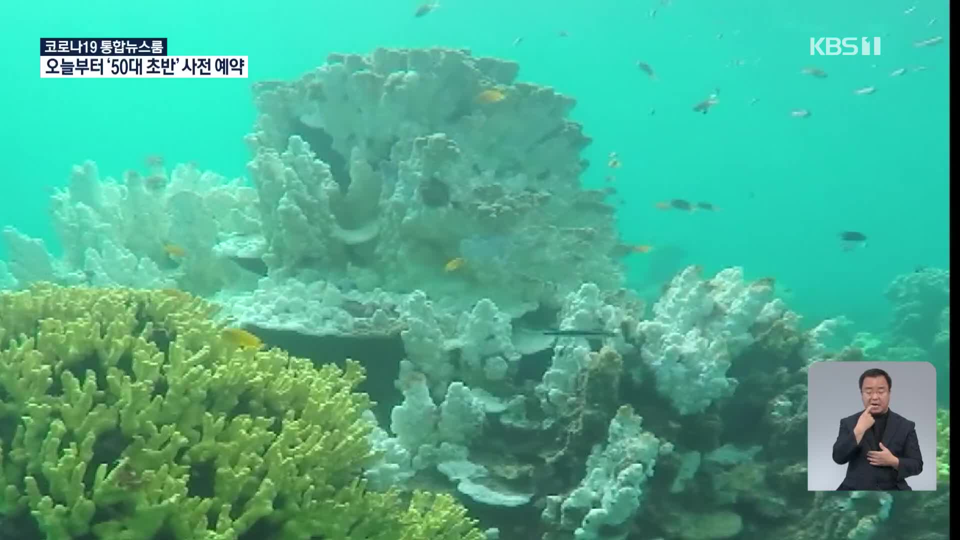 일본, 산호가 ‘갈충조’ 삼키는 순간 세계 최초로 촬영