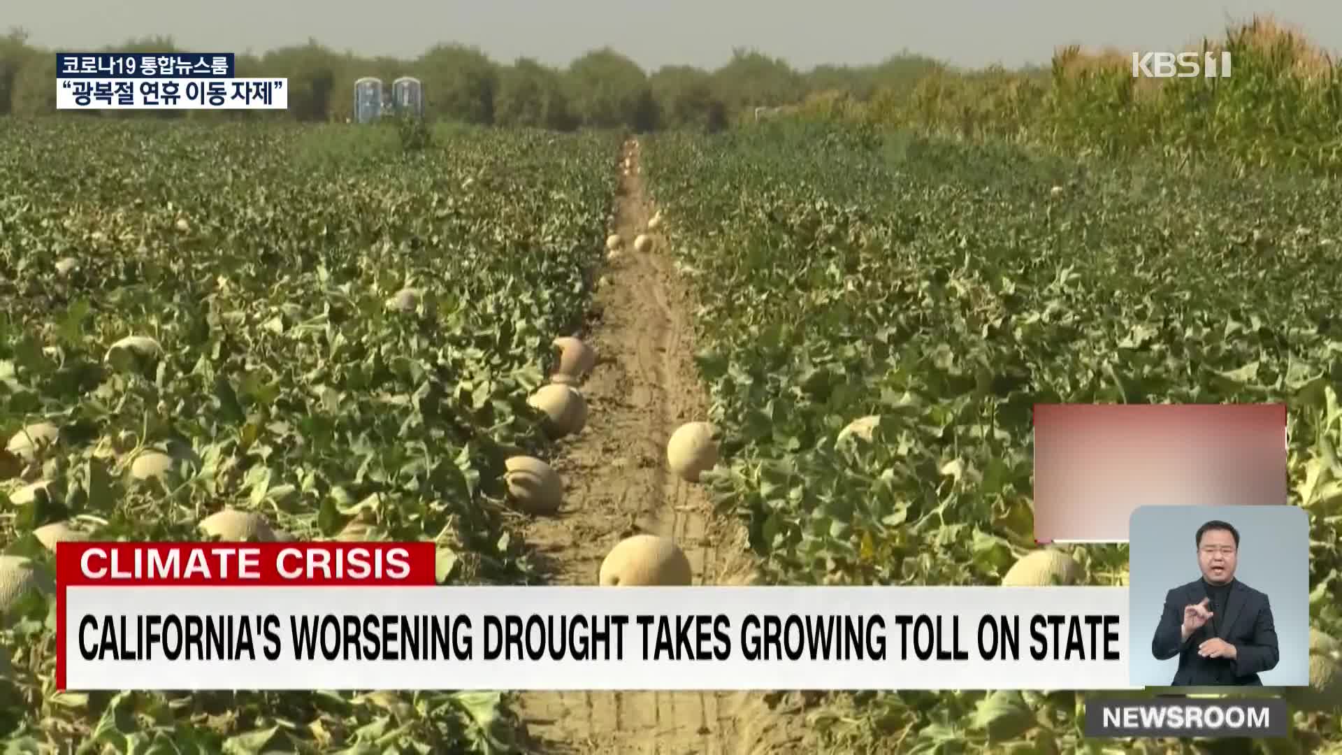 가뭄으로 울상 된 아메리칸드림 농장들