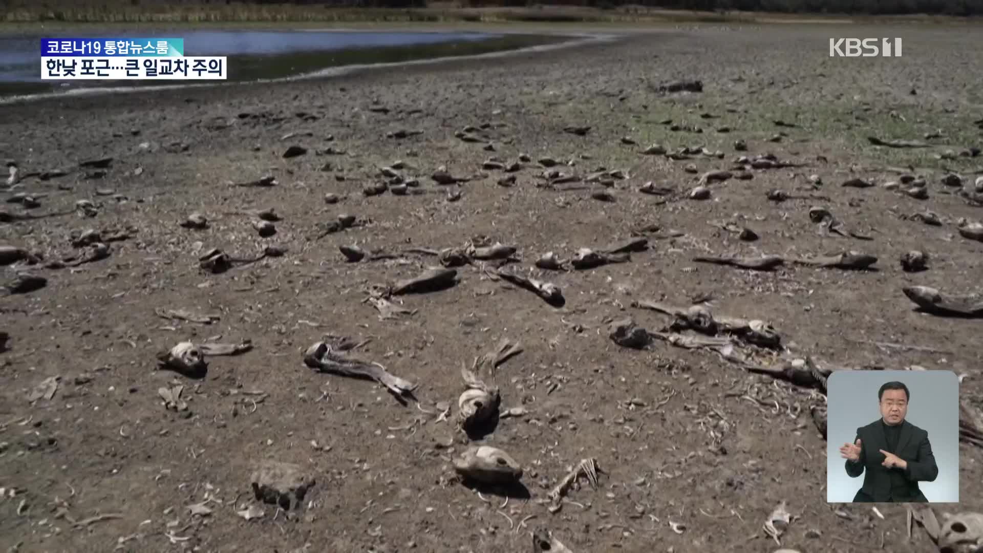 칠레, 10년 이상 가뭄에 황폐해진 페뉴엘라스 호수