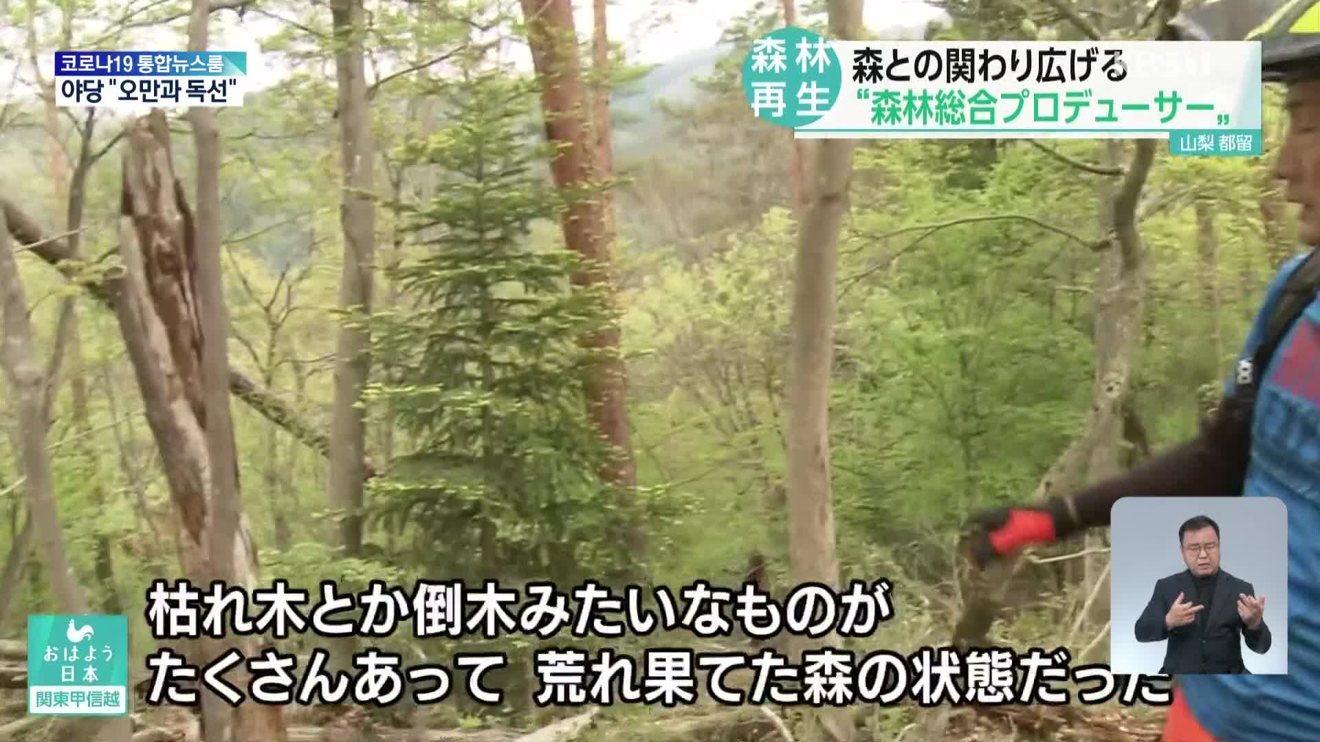 일본, 황폐한 숲을 다시 살려라!