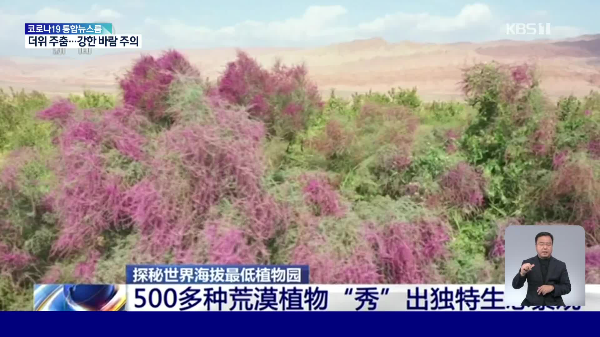 중국, 해수면보다 낮은 곳에 위치한 사막 식물원