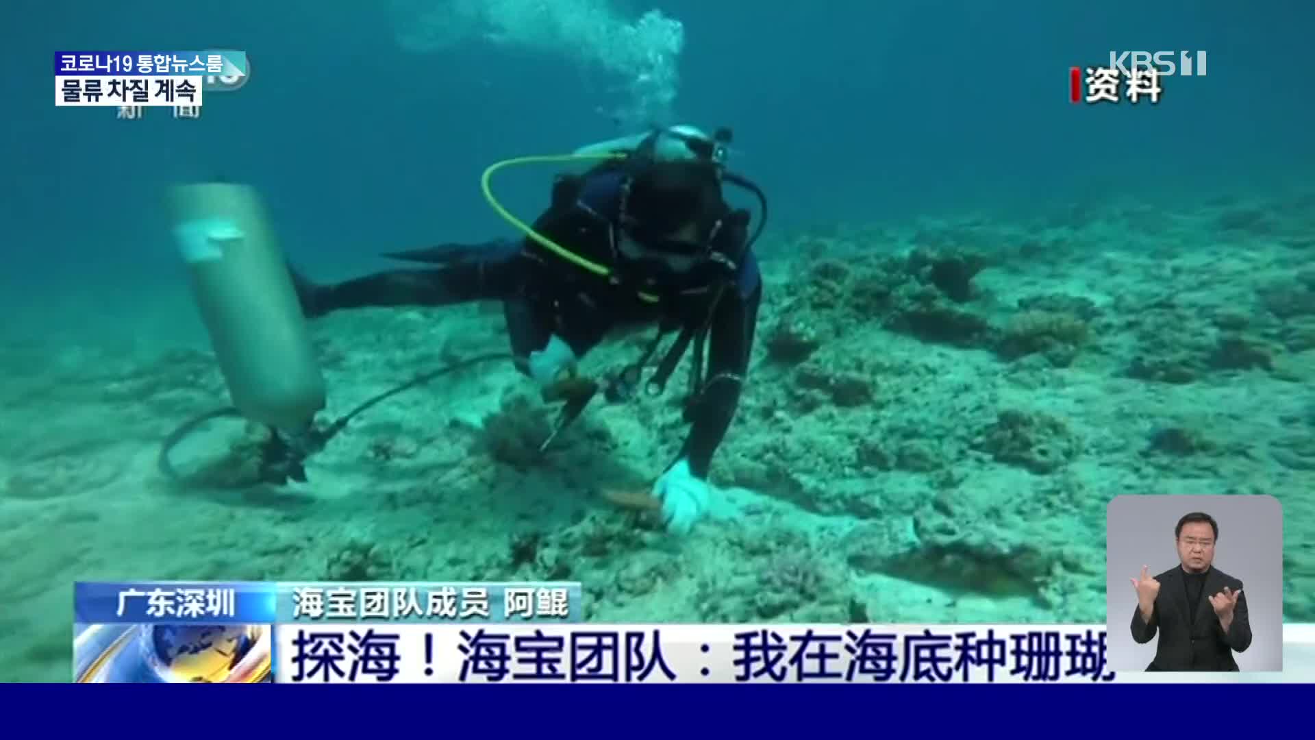 해저에 산호 심는 중국 사람들
