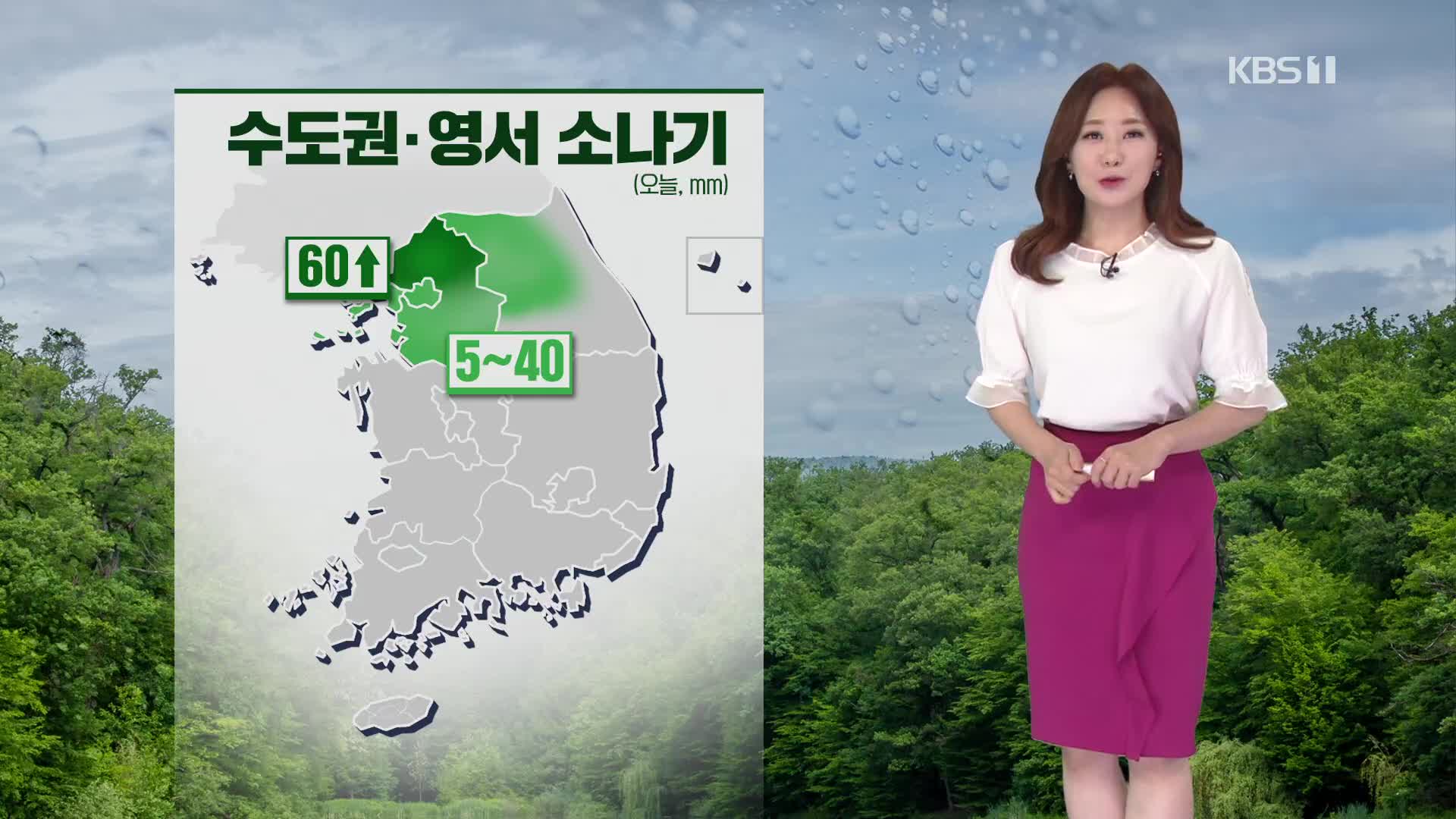 [날씨] 오늘 수도권·영서 소나기…더위 주춤