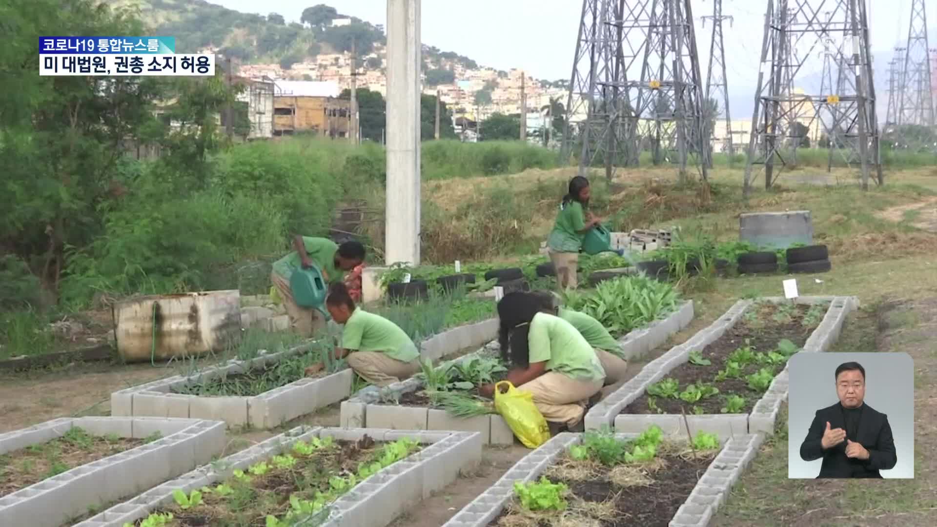브라질, 빈곤층에 무료 농산물 제공하는 ‘도시 농장’