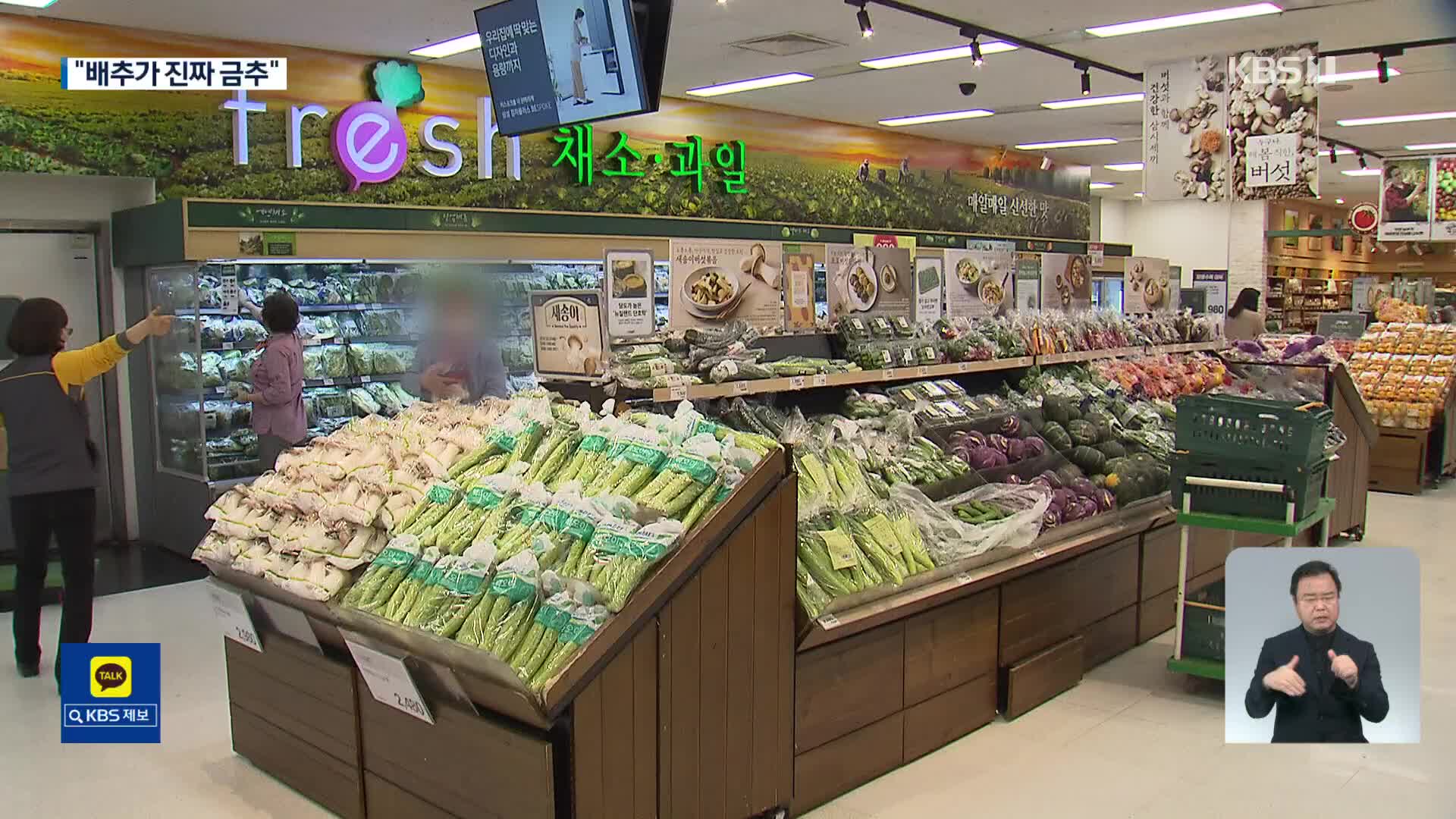 “채소·육류 안 오른게 없다…밥상 물가 비상”
