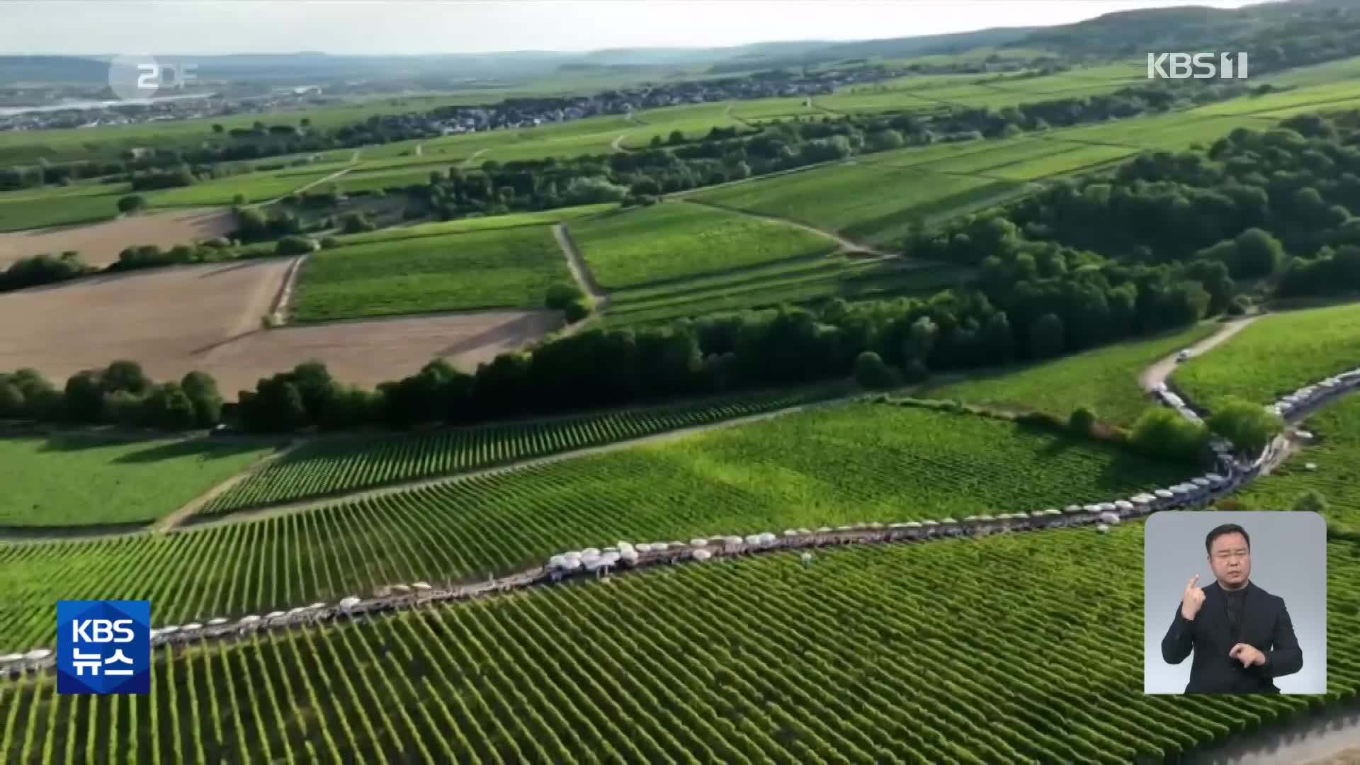 독일, 800m 식탁에서 1,200명이 함께 식사