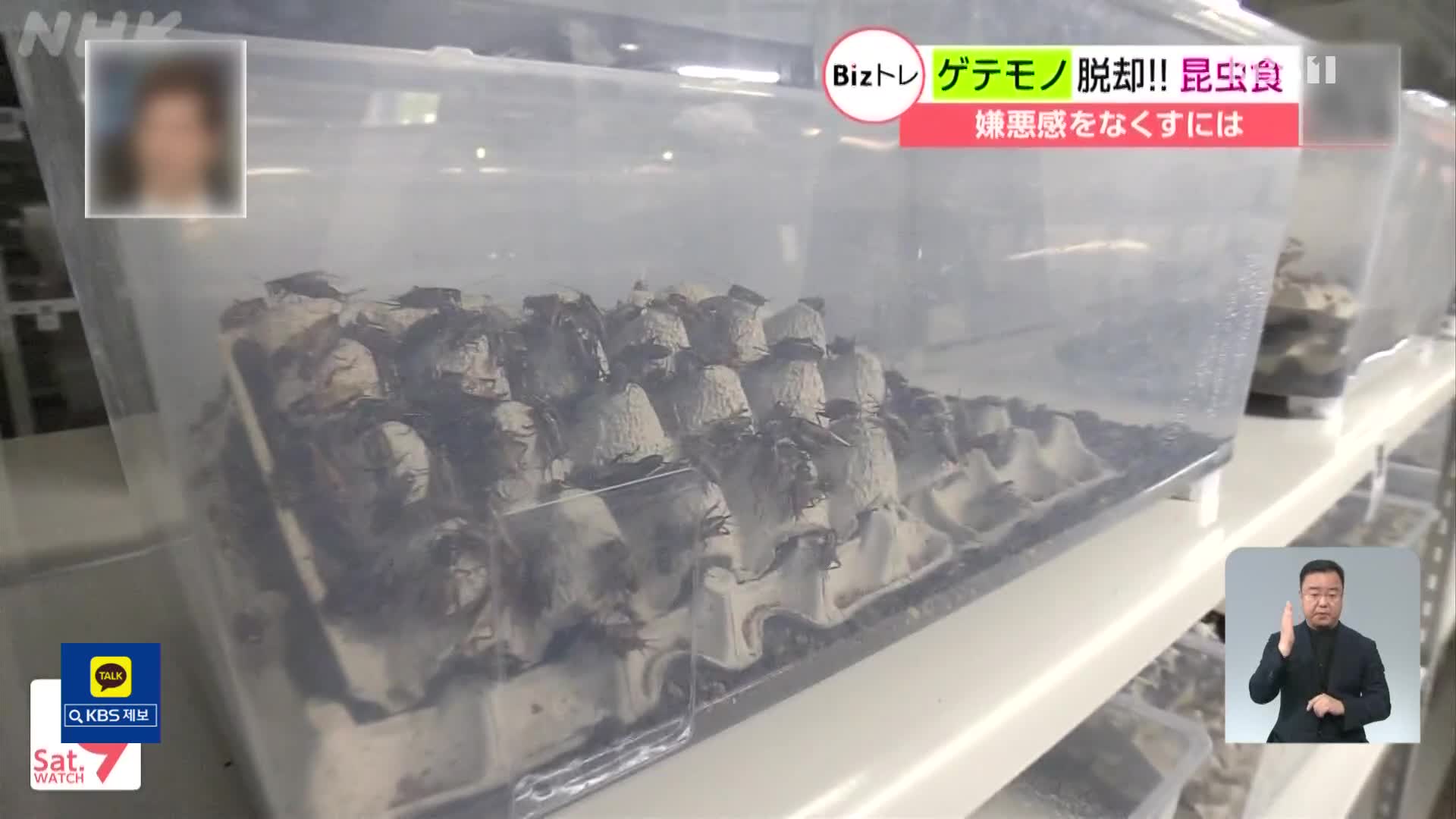 일본, 곤충식에 대한 혐오감을 없애라!