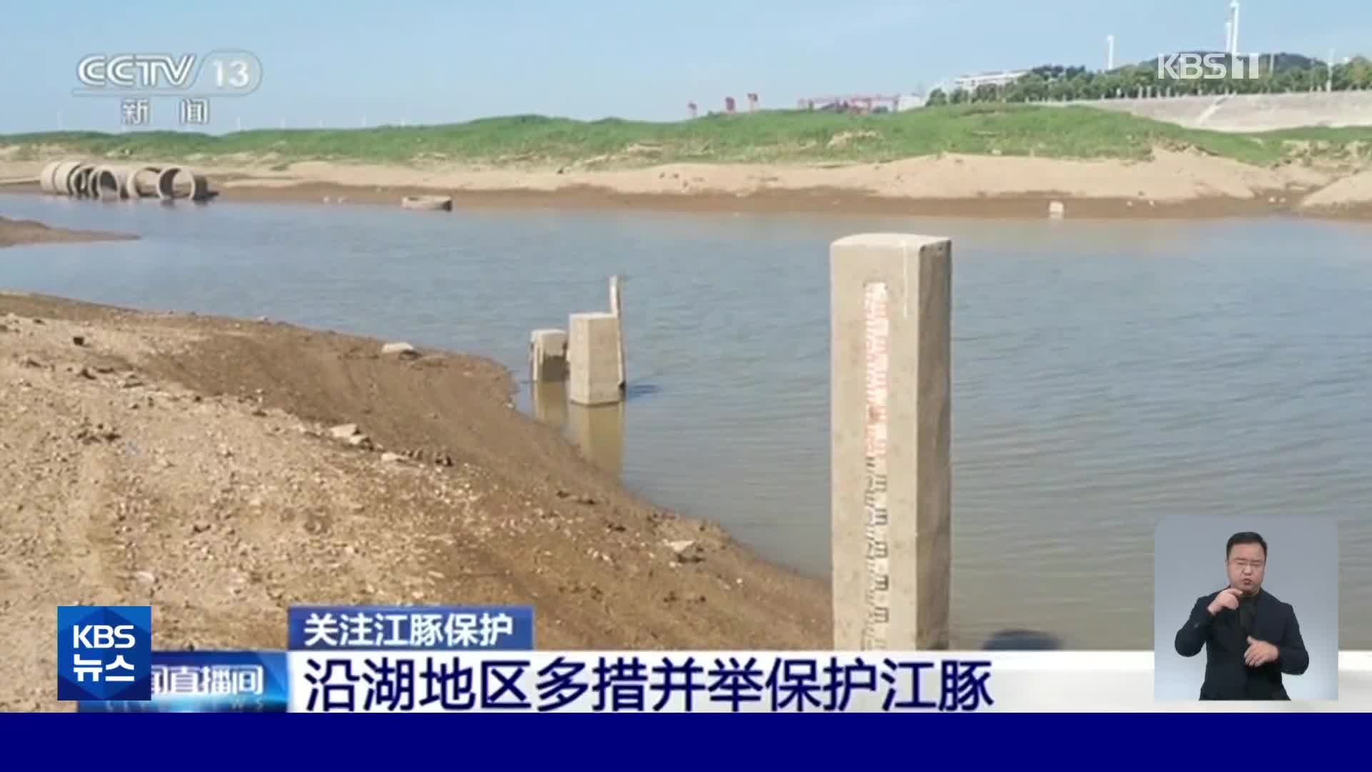 중국, 가뭄에 위협받는 양쯔강 상괭이 주요 서식지