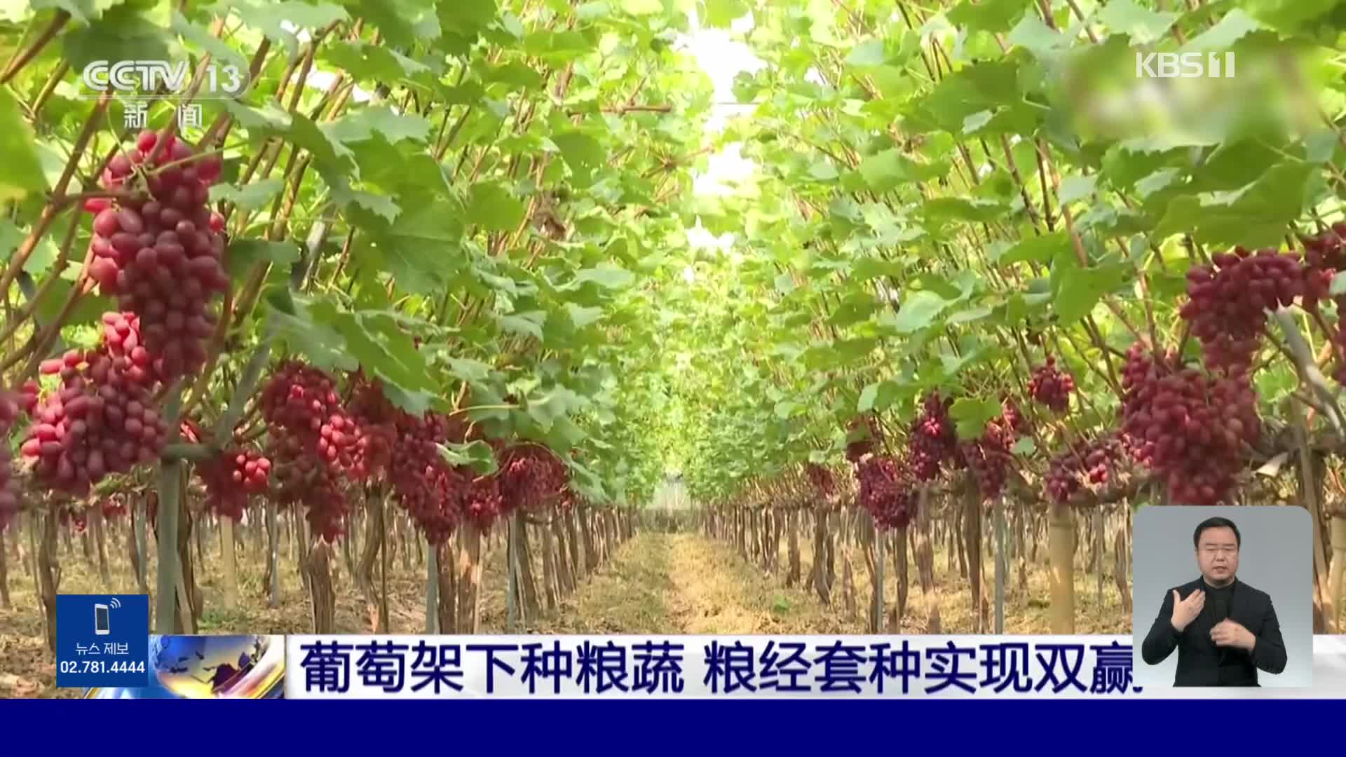 중국, 농지 효율성 위해 일지다용 정책 추진