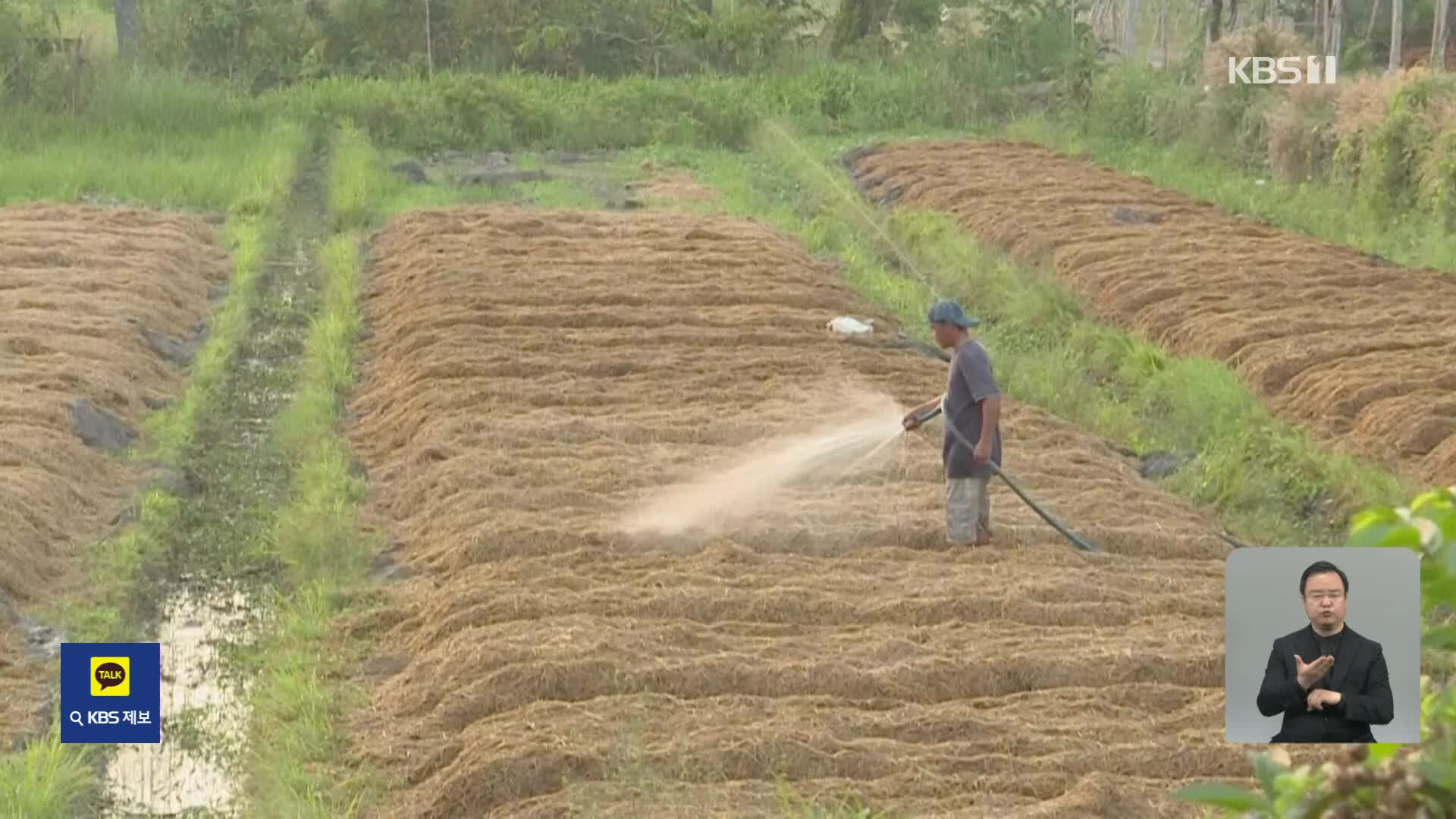 베트남, ‘벼농사 메탄’ 줄이기 노력