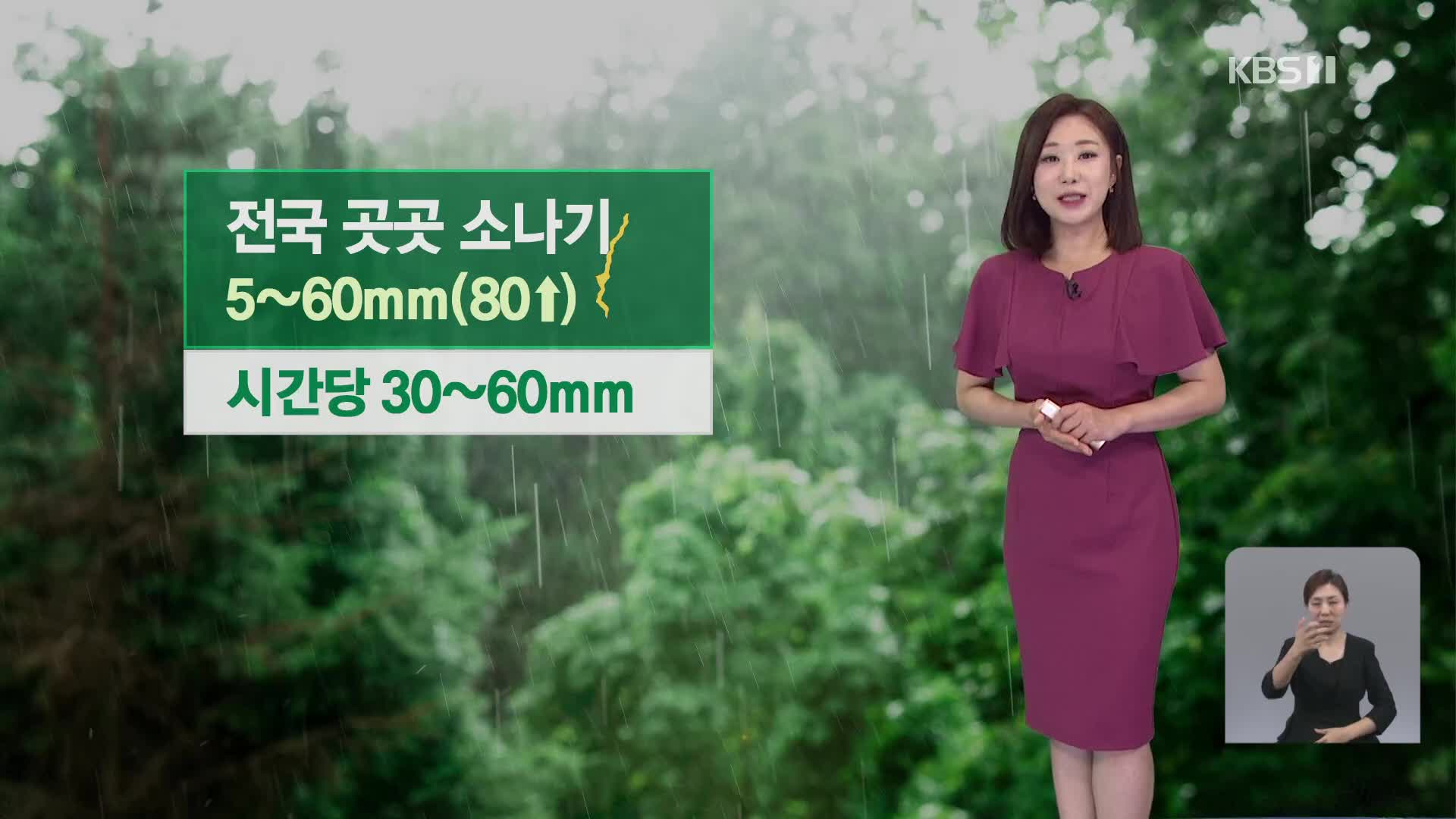 [930 날씨] 무더위 속 소나기…오전에 경기북부 매우 강한 비